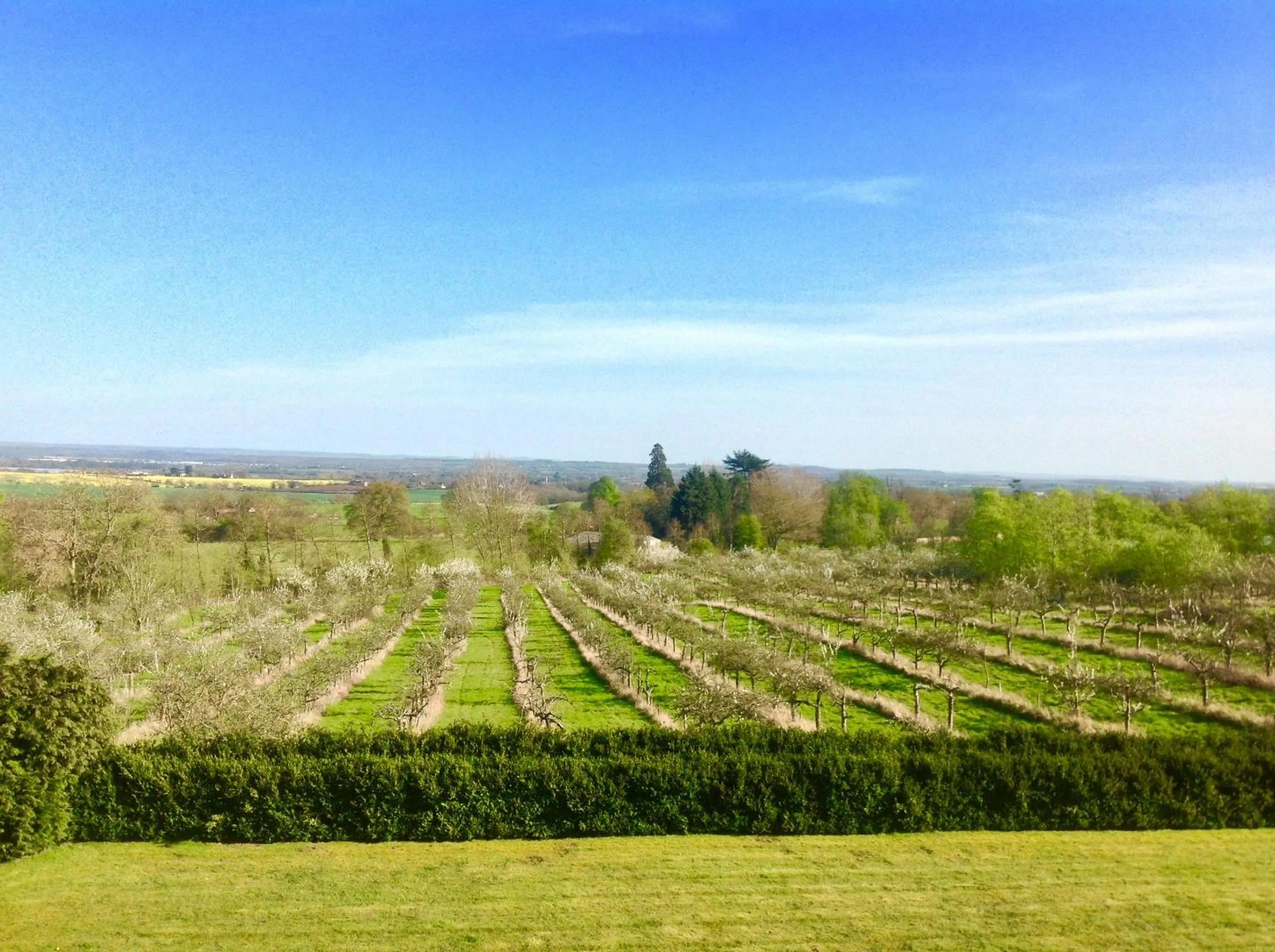 View (from property/room) in Shakespeare's View