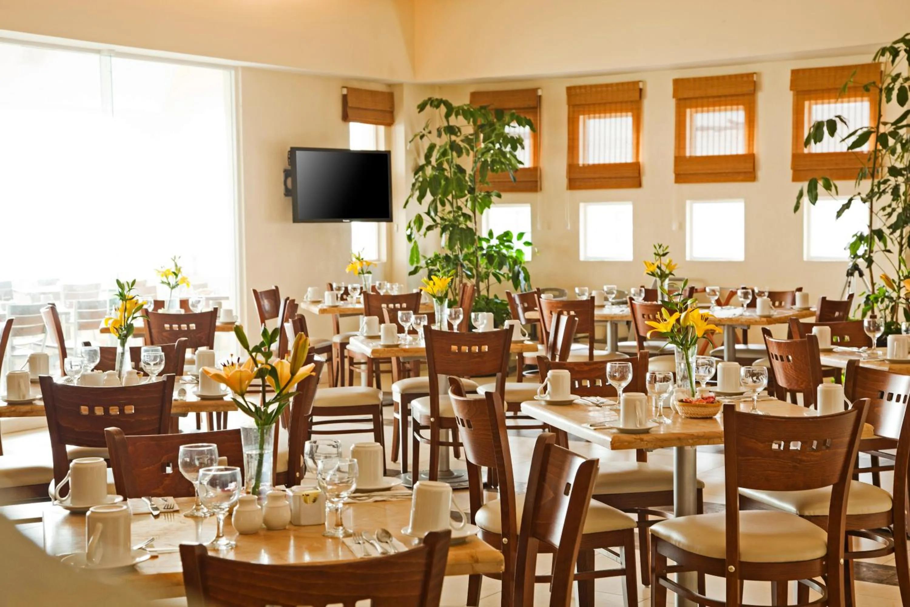 Restaurant/places to eat in Artisan Playa Esmeralda Family Beach Hotel