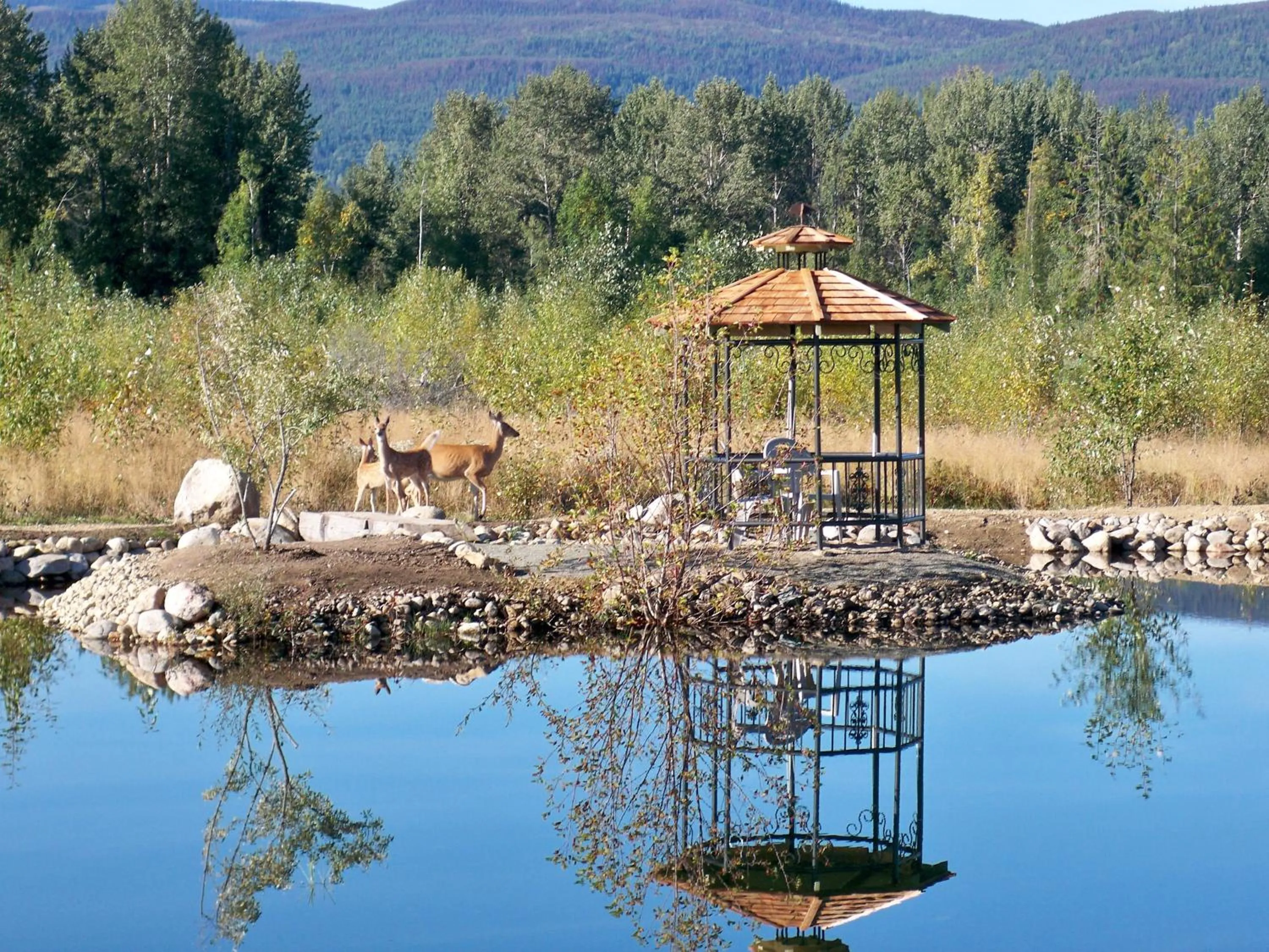 Area and facilities in Blue Grouse Country Inn