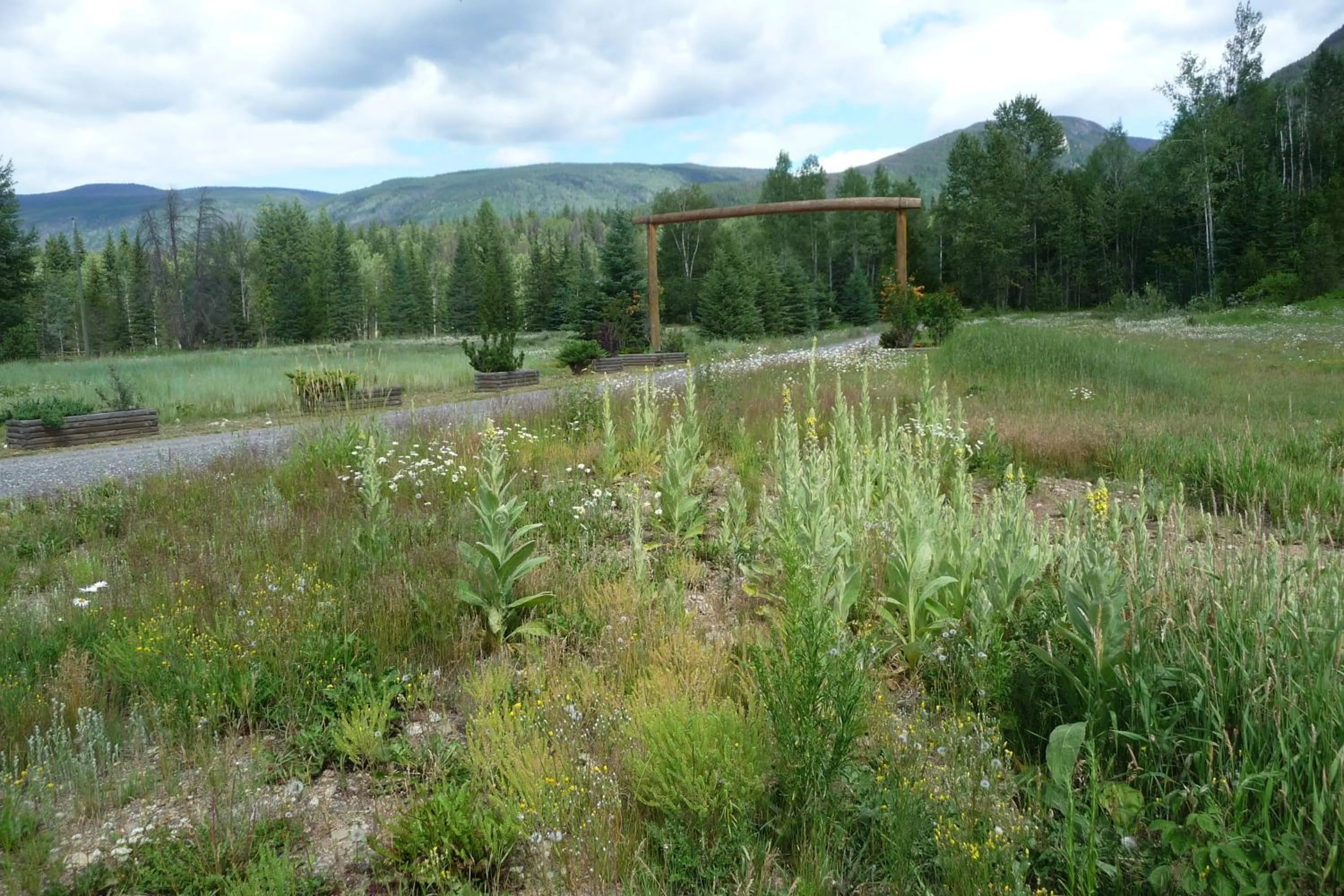 View (from property/room) in Blue Grouse Country Inn