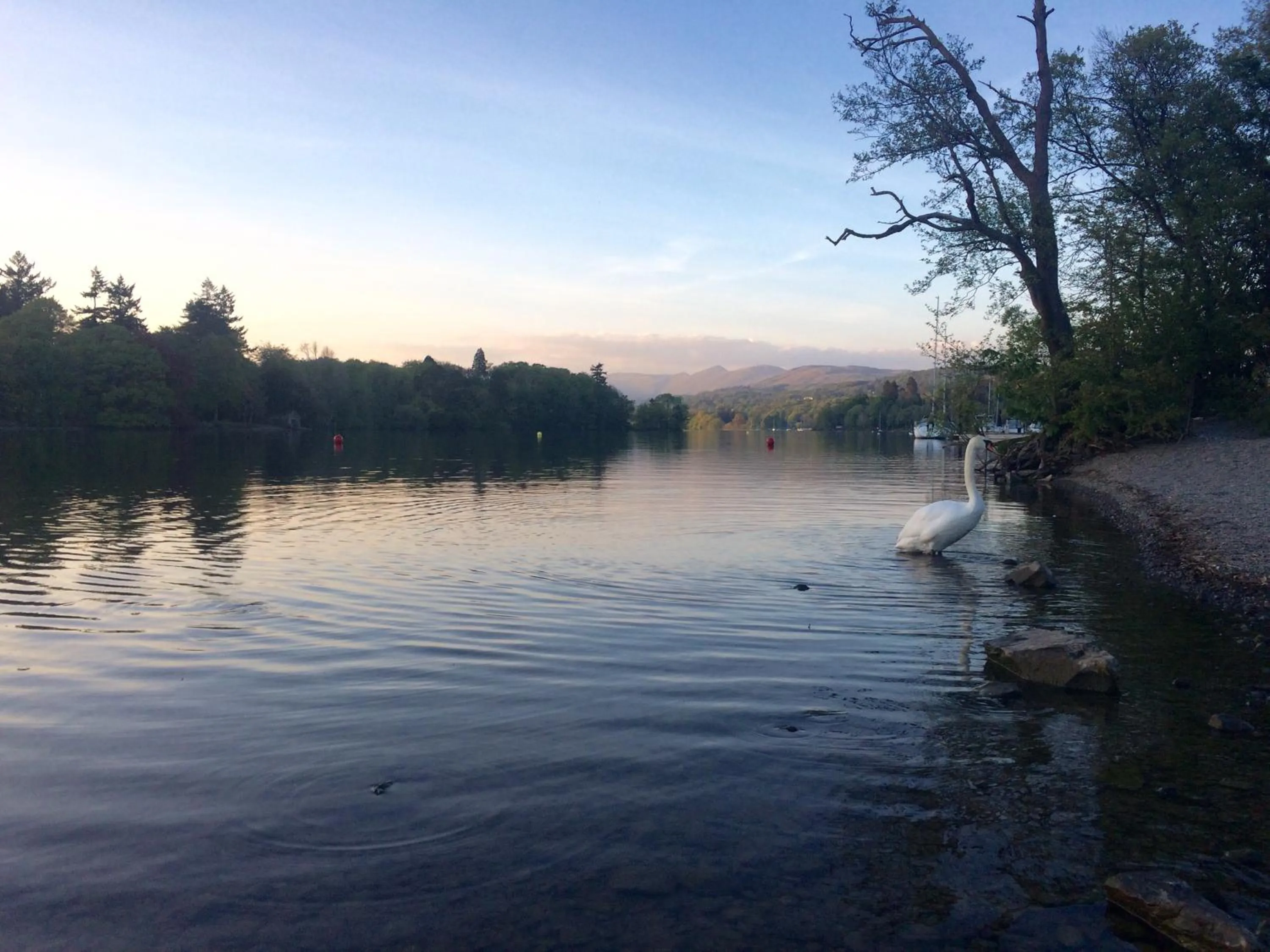 Natural landscape in Invergarry Room Only Guest House For Adults