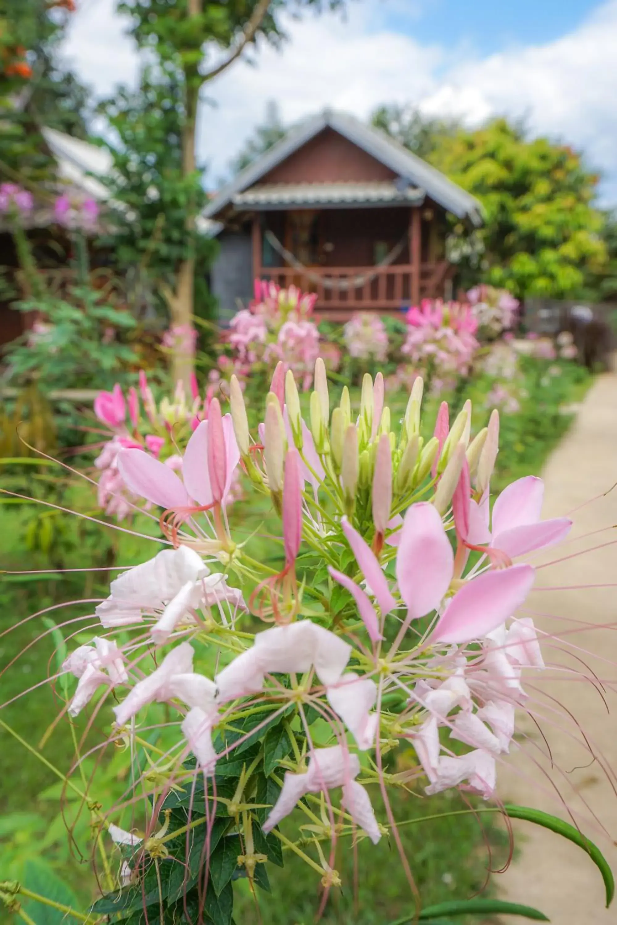Bungalow (2 Adults) in Family Hut Pai Bungalow (2 Adults) in Family Hut Pai
