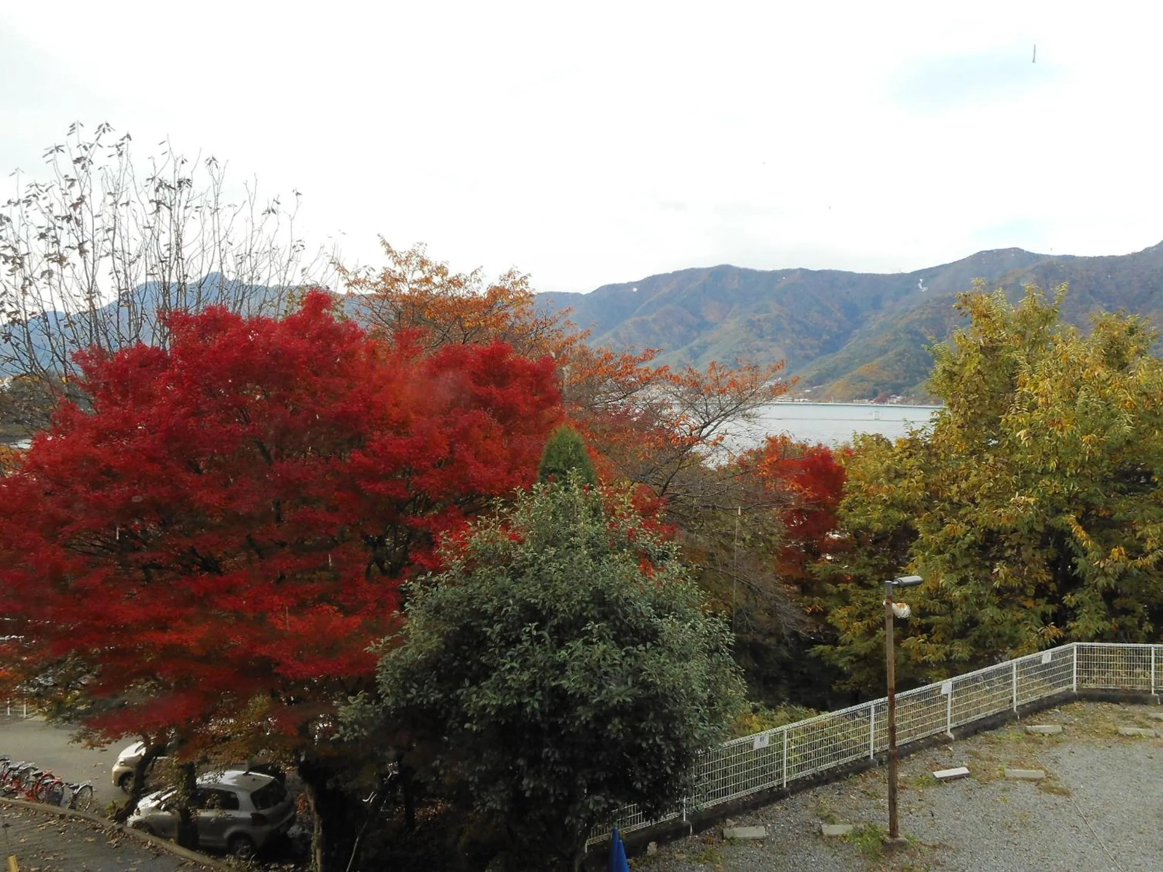Natural landscape in Breezbay Lake Resort Kawaguchiko