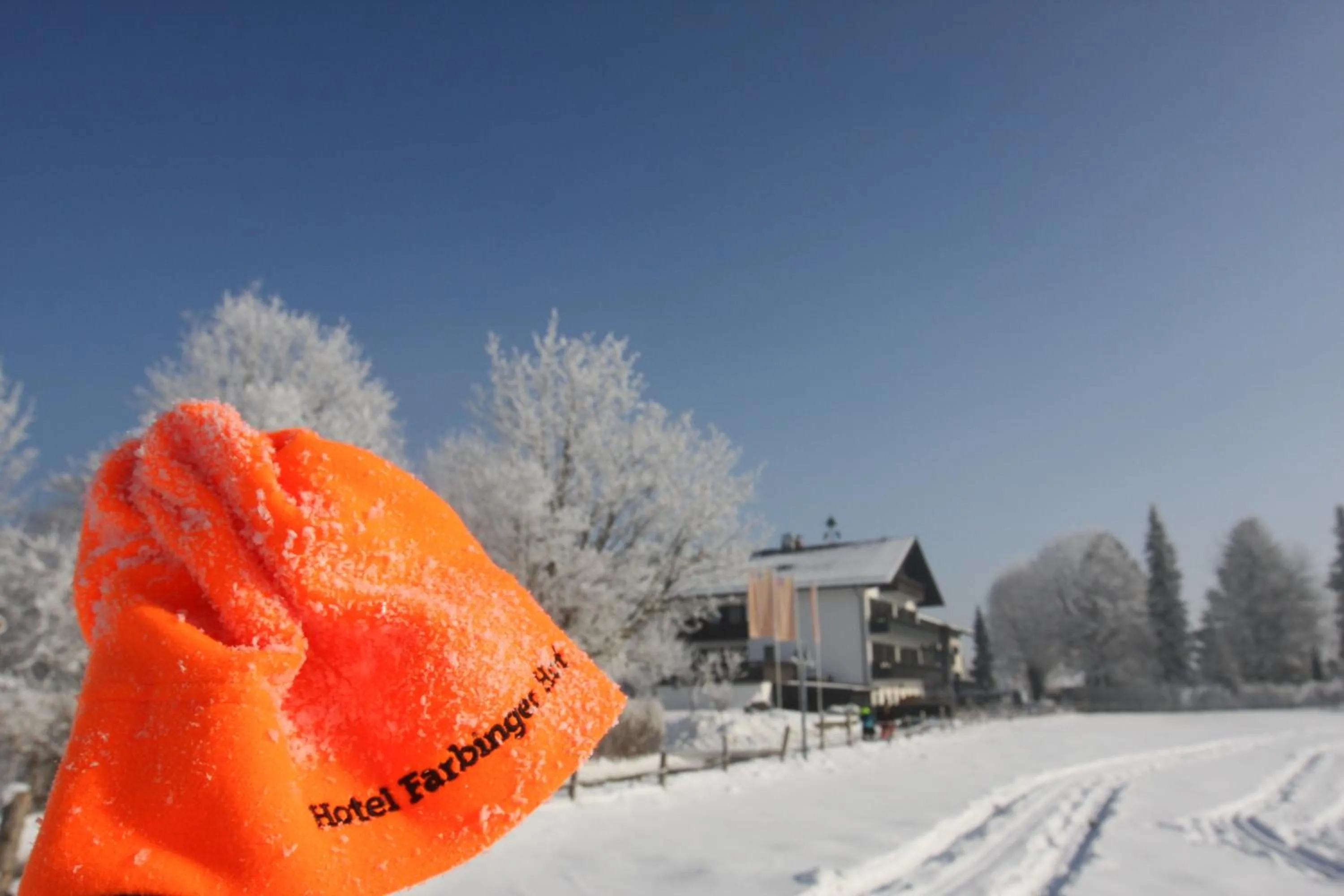 Sports in Farbinger Hof