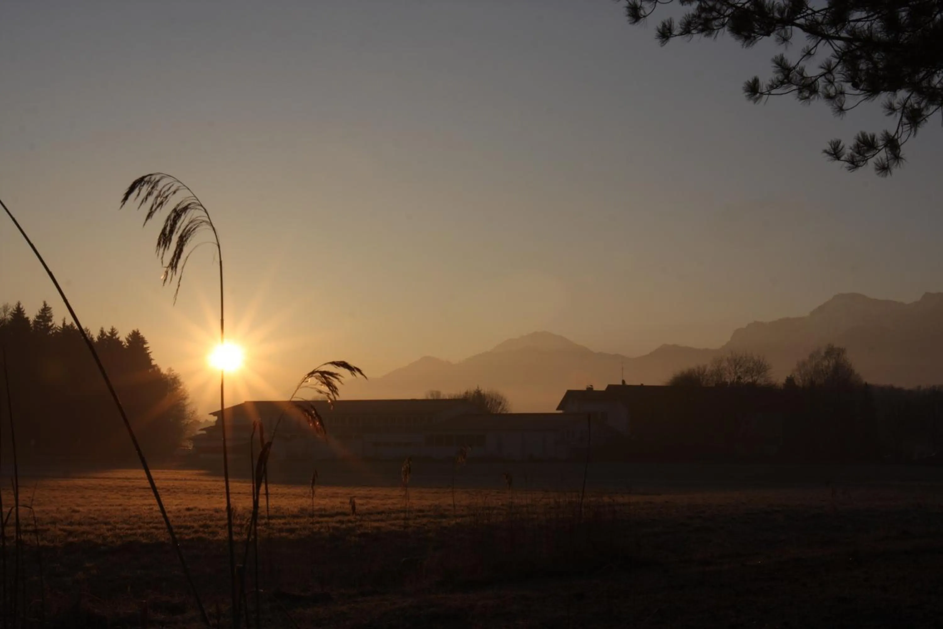 Property building in Farbinger Hof