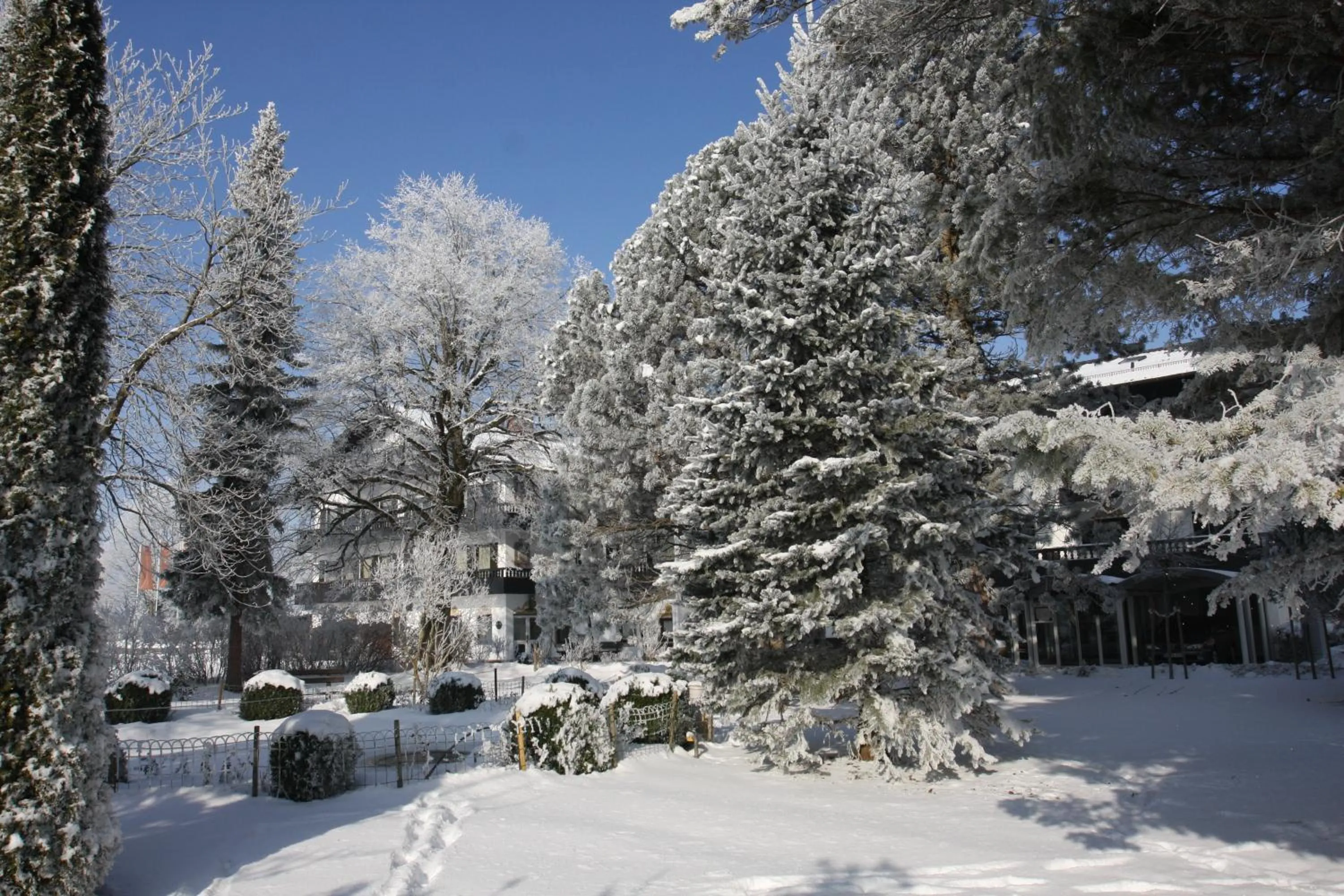 Winter in Farbinger Hof