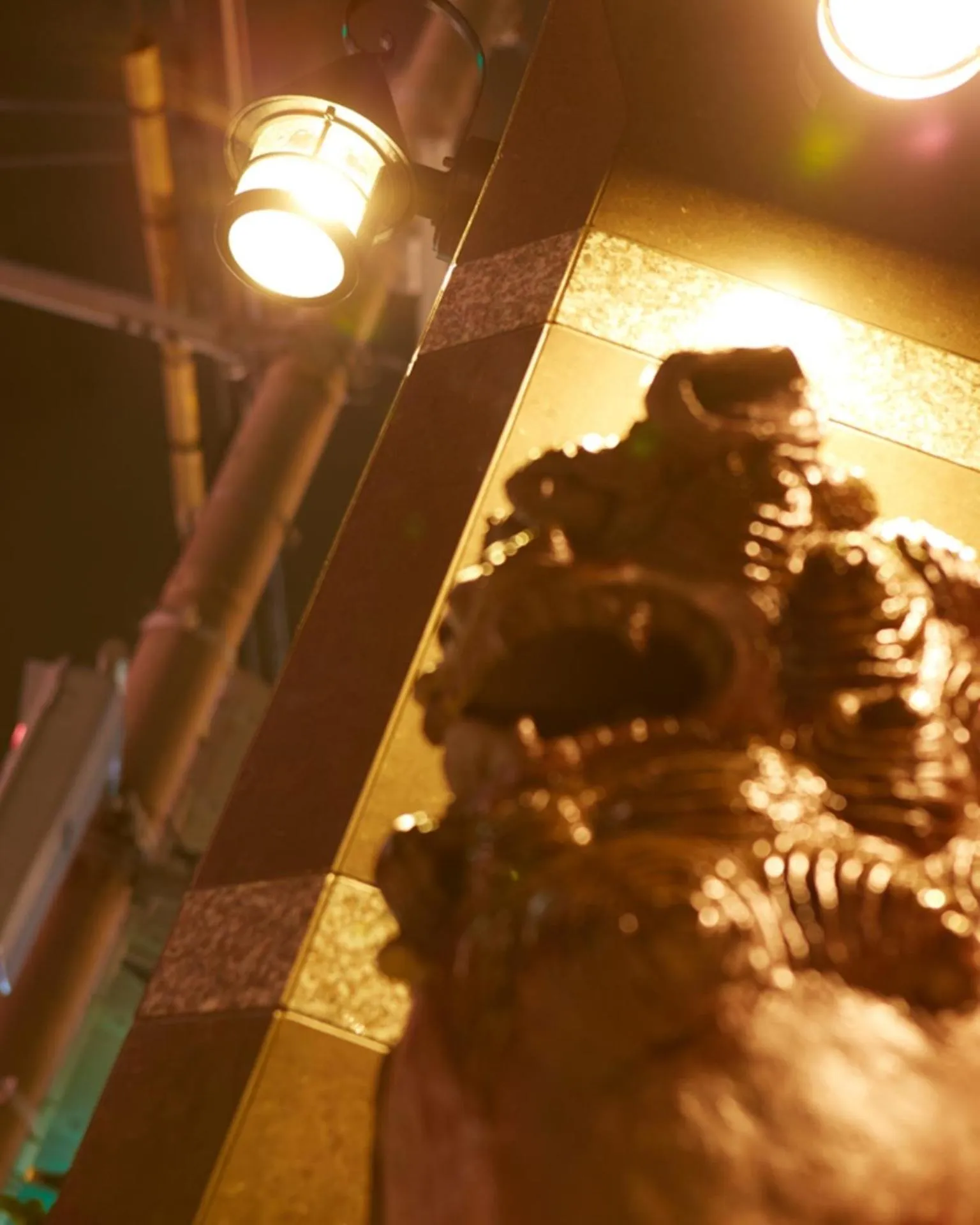 Night in Hotel Taira