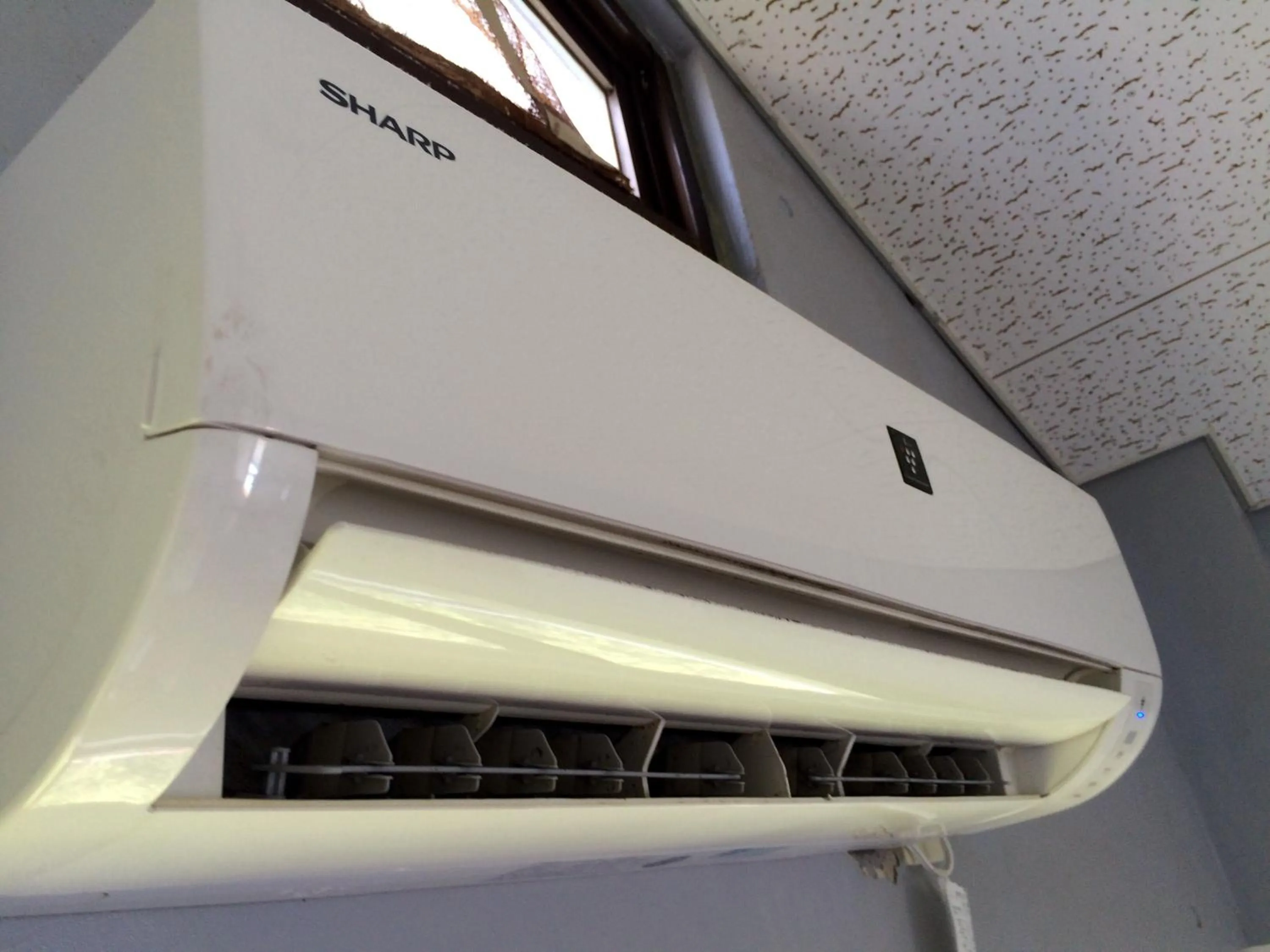 Photo of the whole room in Surfside Bed & Breakfast