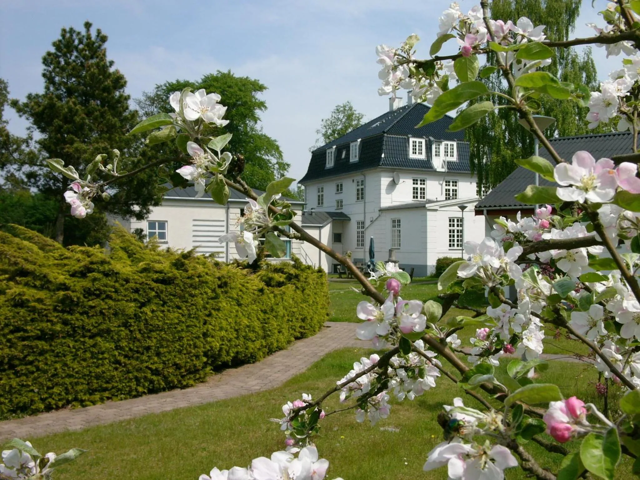 Property building in Rørvig Centret