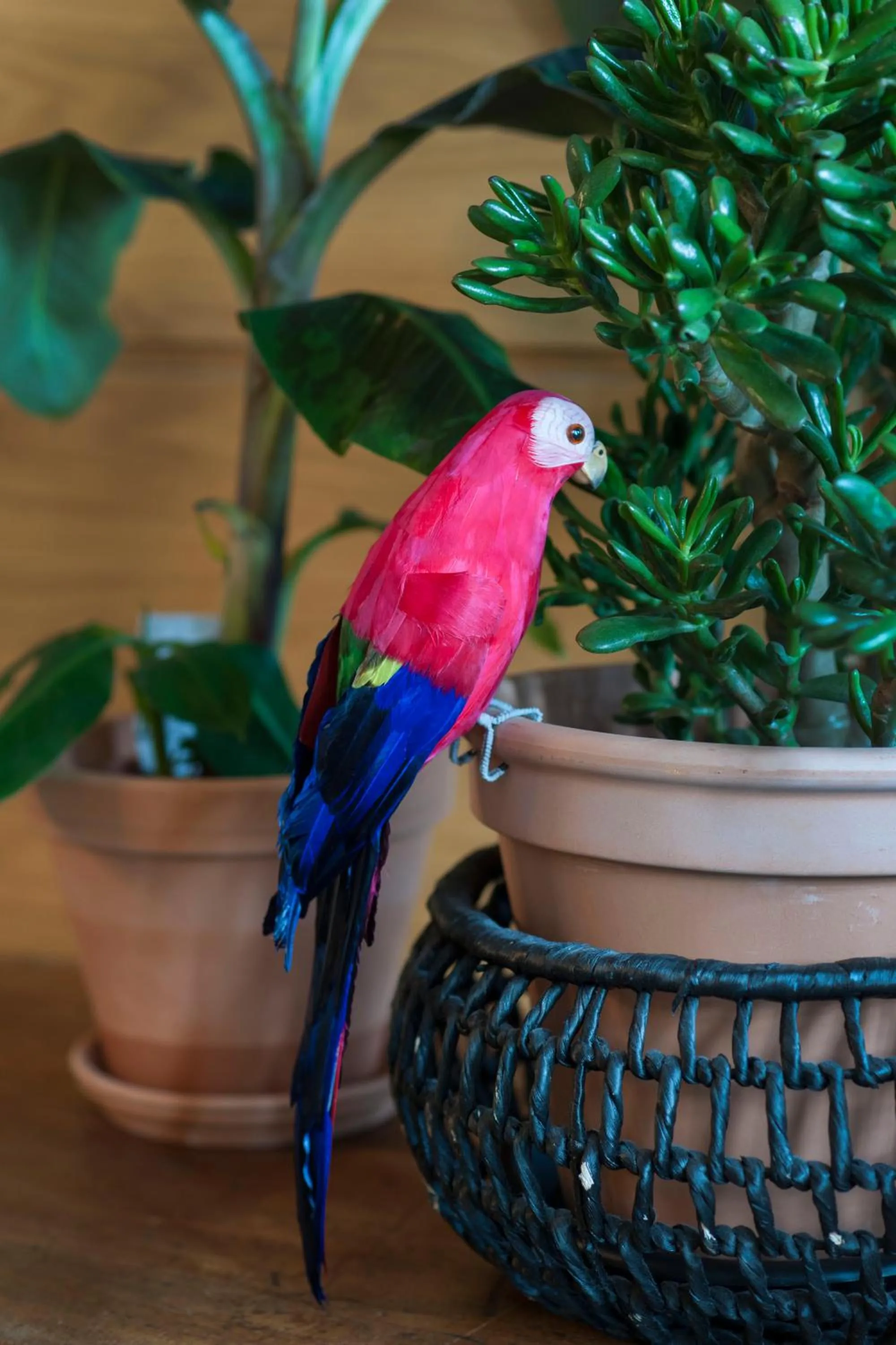 Decorative detail in Student Hostel