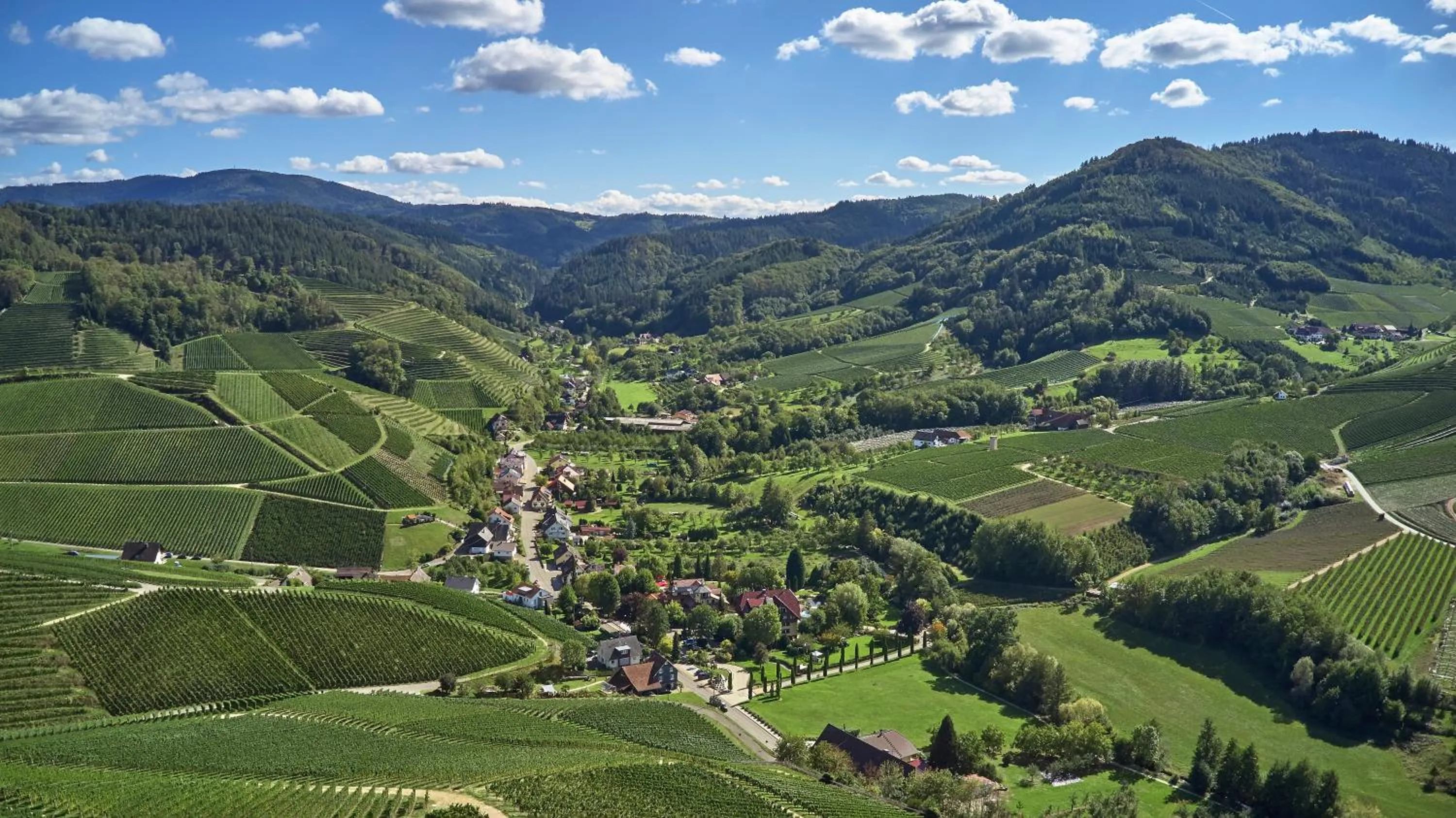 View (from property/room) in Hotel Rebstock Durbach