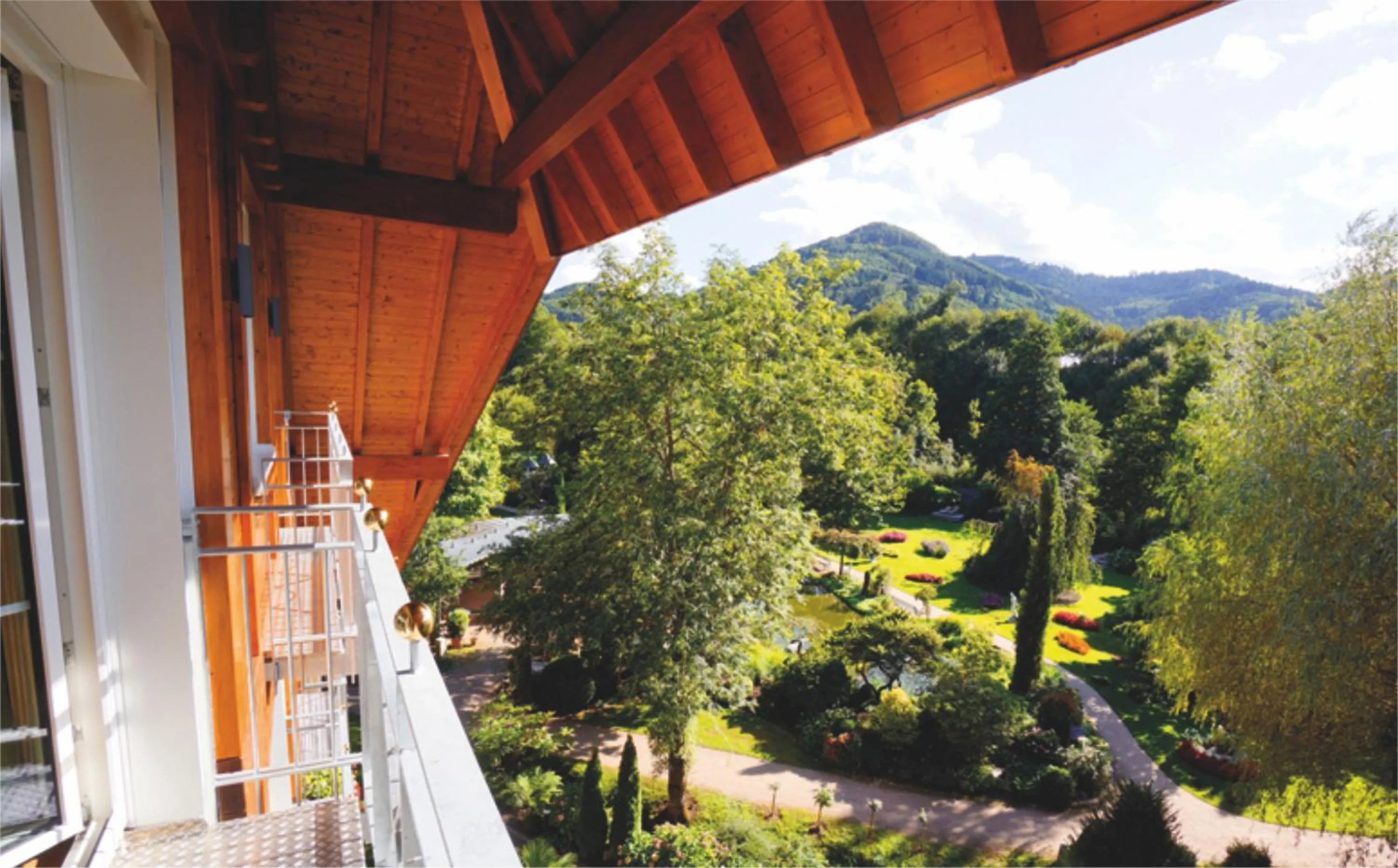 Natural landscape in Hotel Rebstock Durbach