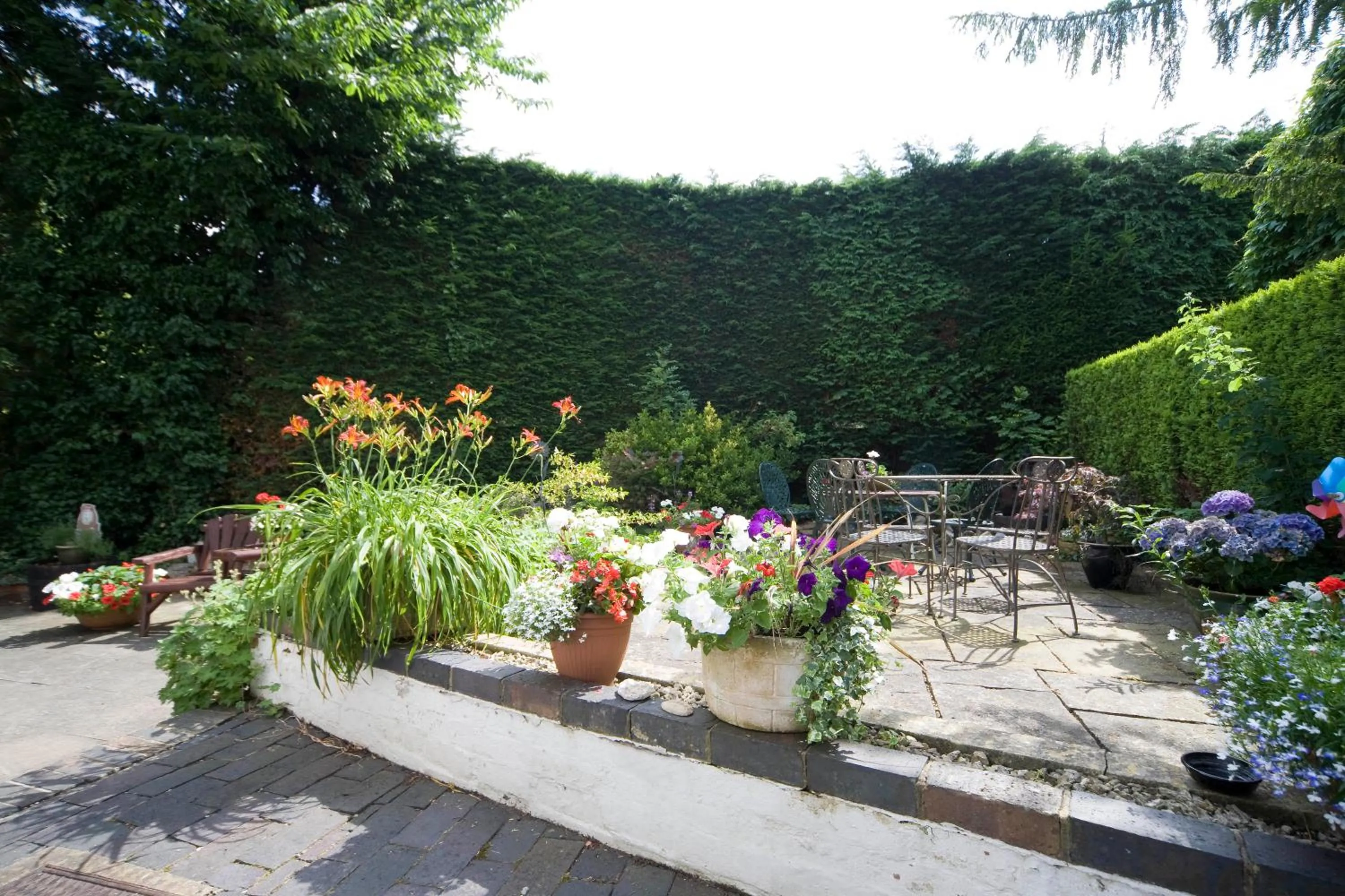 Garden in Park Cottage