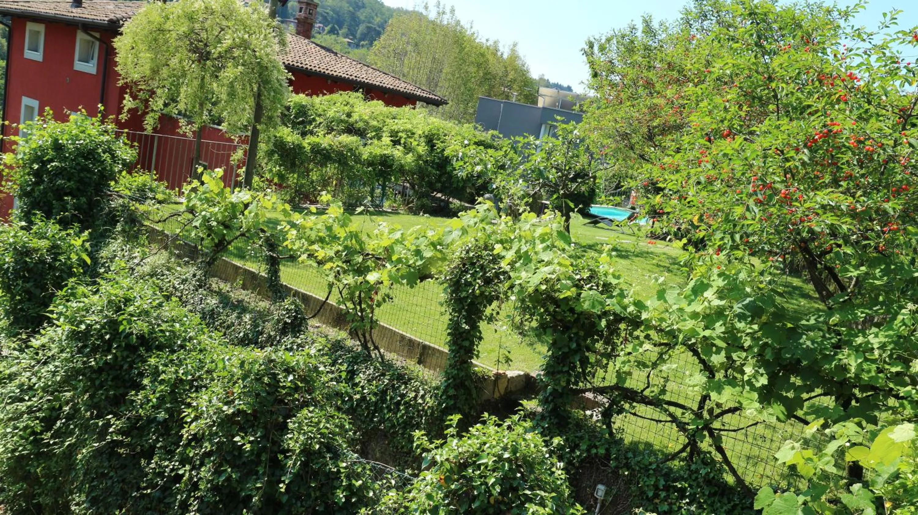Garden view in B&B Casa Cantoniera