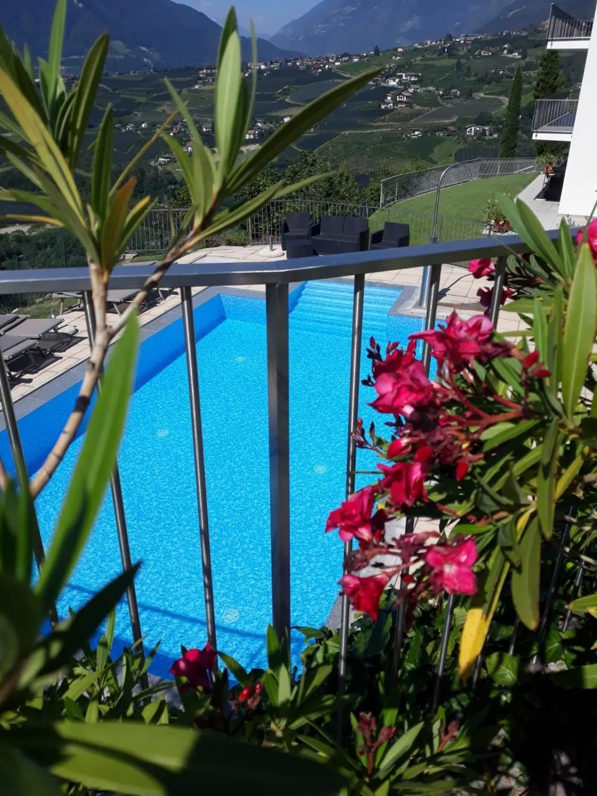 Swimming pool in Residence Fiegl