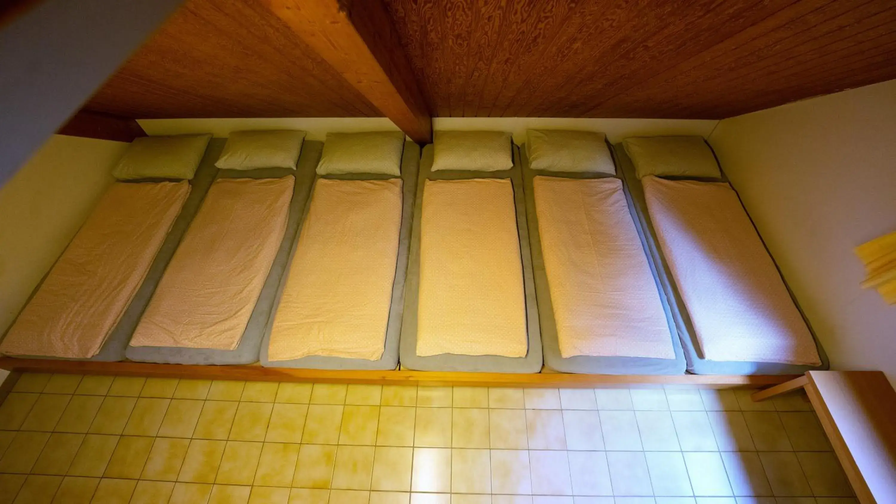 Single Bed in Dormitory Room in Delémont Youth Hostel Single Bed in Dormitory Room in Delémont Youth Hostel