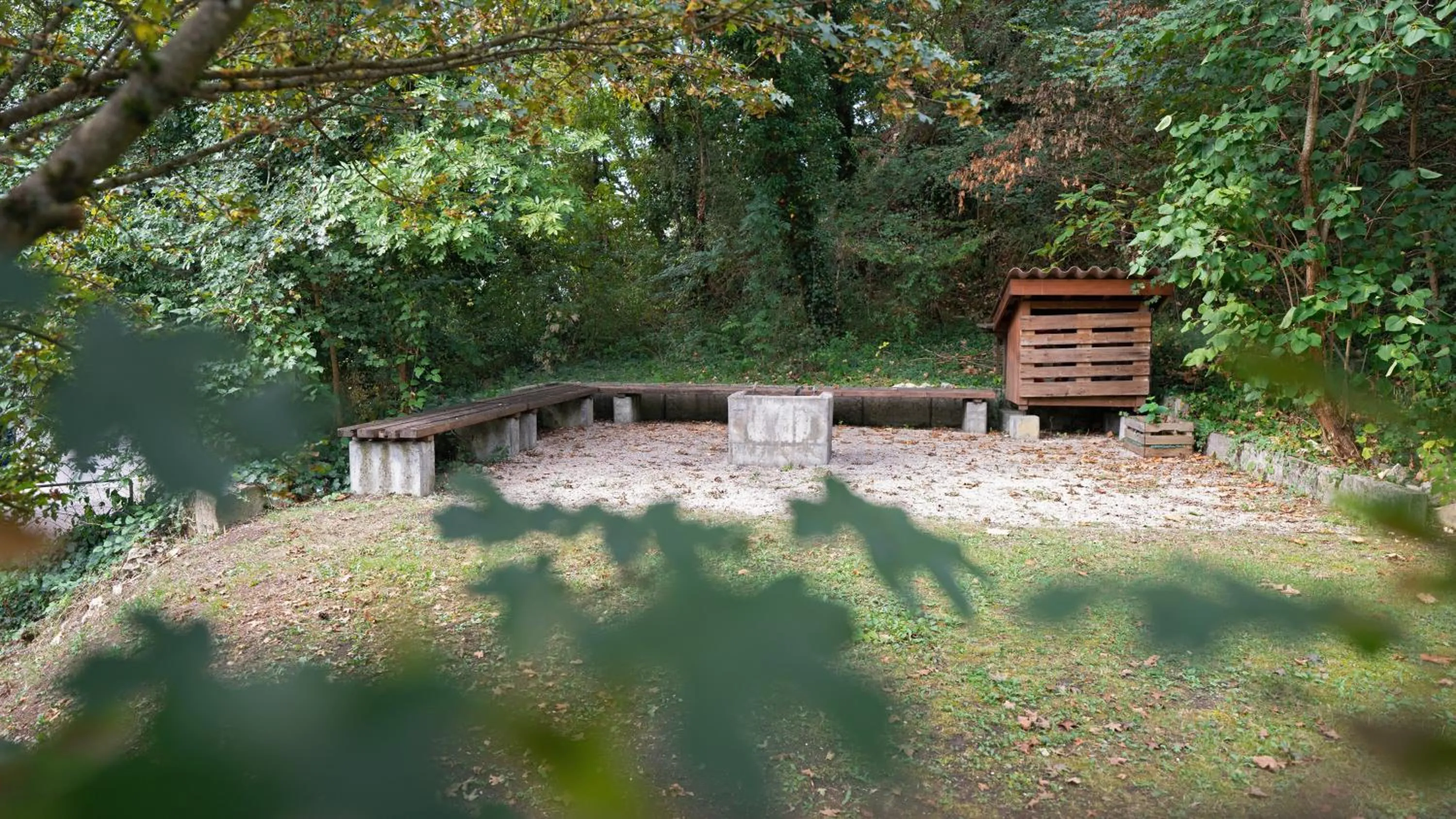Garden in Delémont Youth Hostel