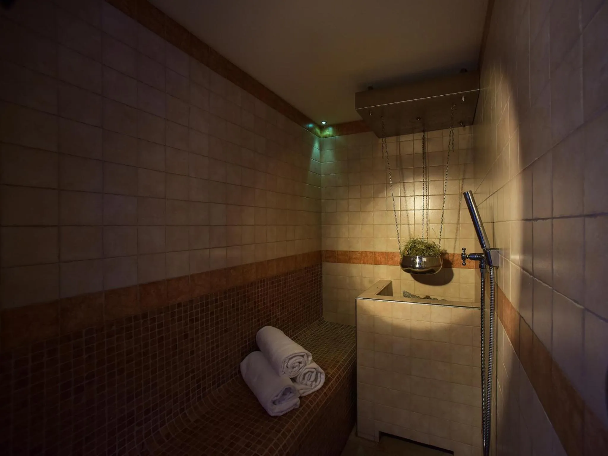 Sauna in Residence Salvan