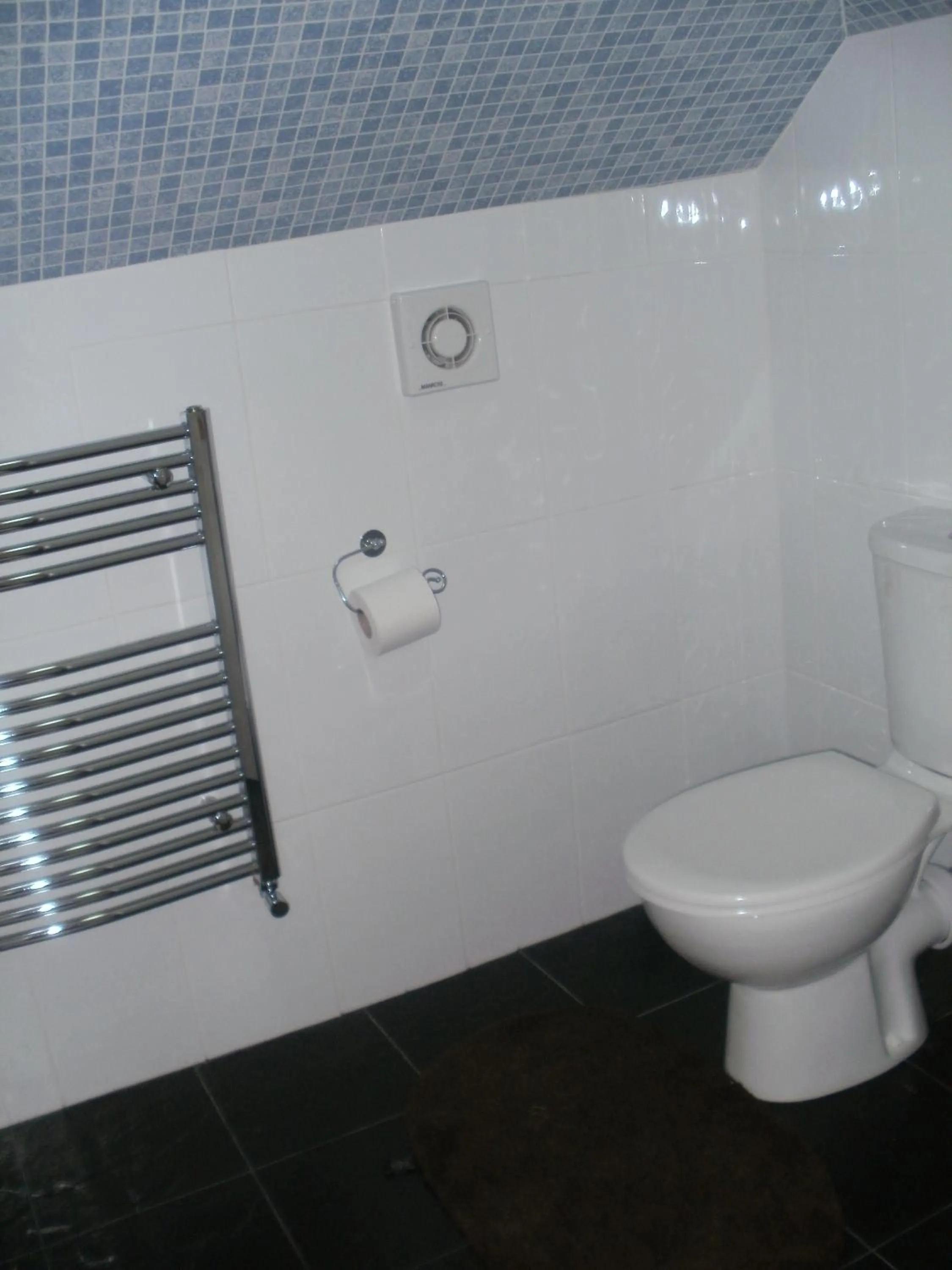 Toilet in London Heathrow Guesthouse