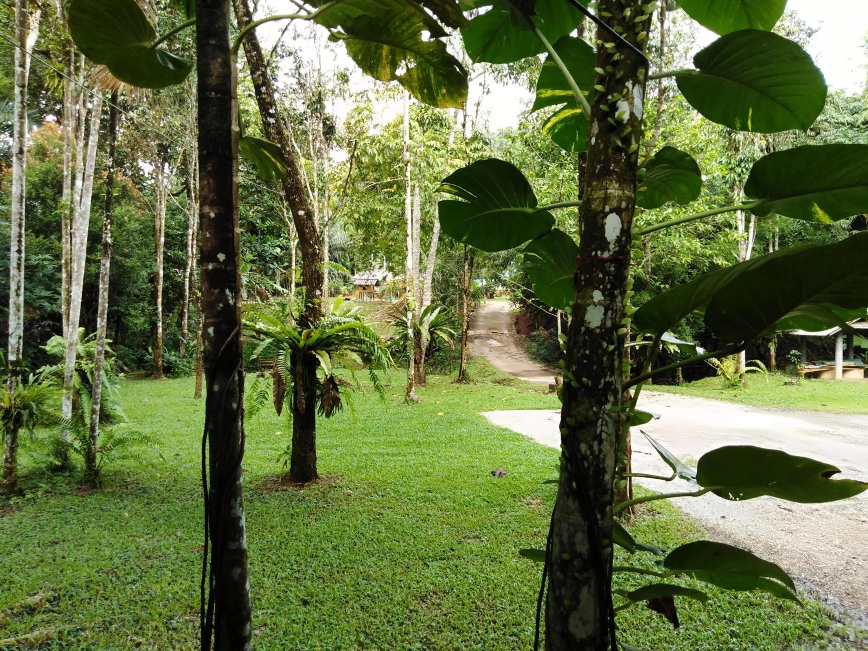 Garden in Khaosok River Camp