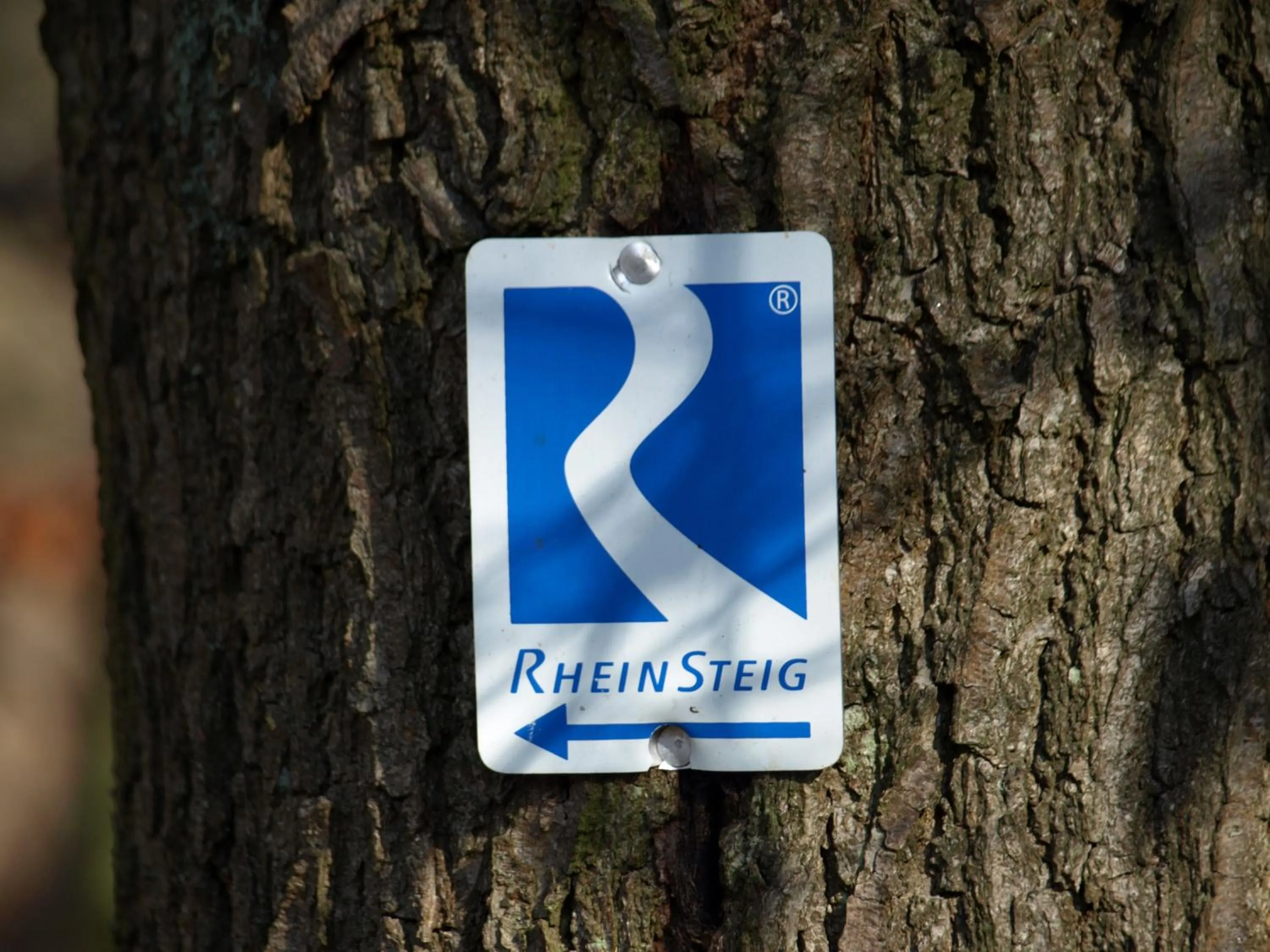 Other in BB Haus Neugebauer Garni