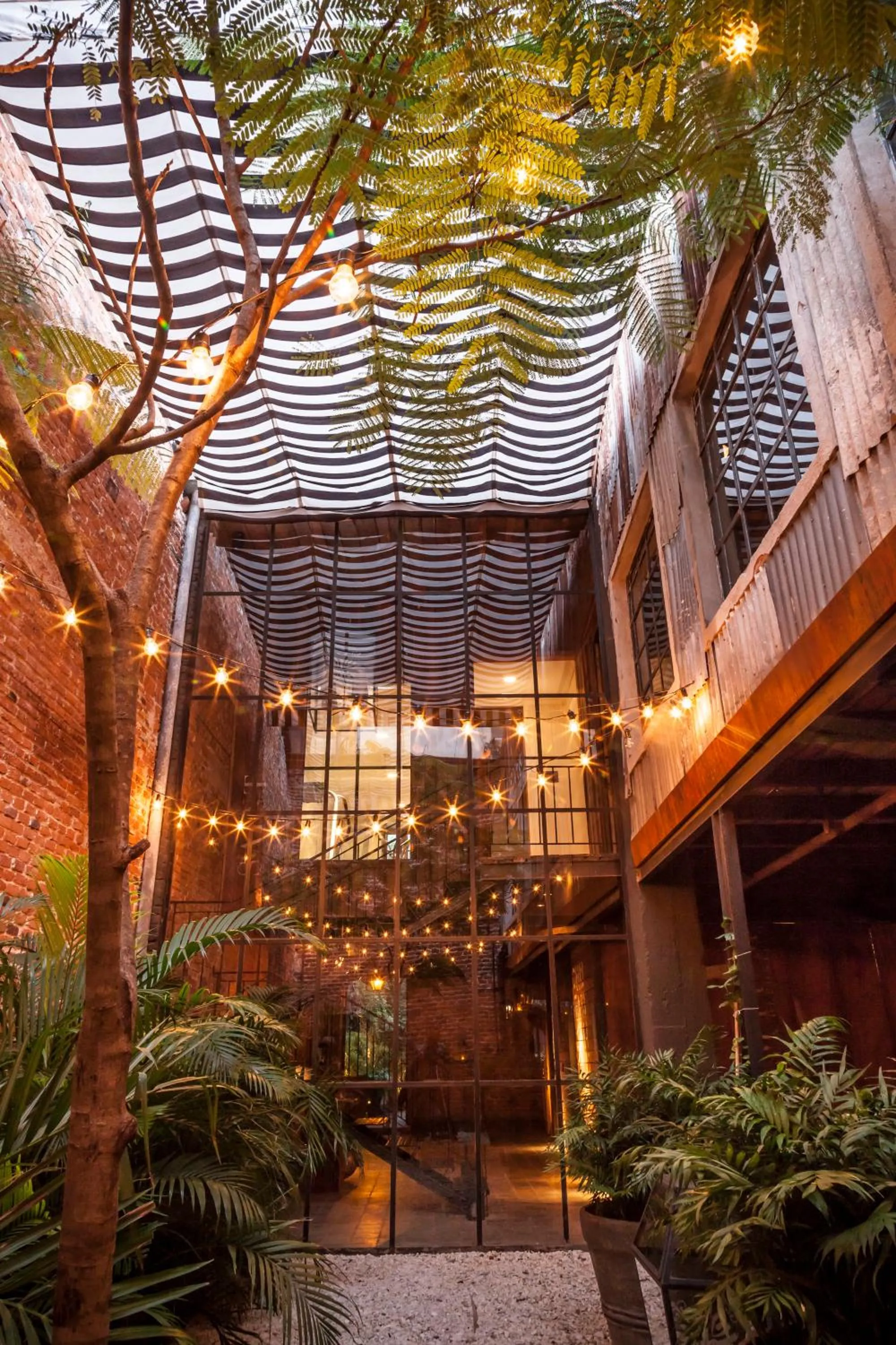 Patio in La Alondra, Casa de huéspedes