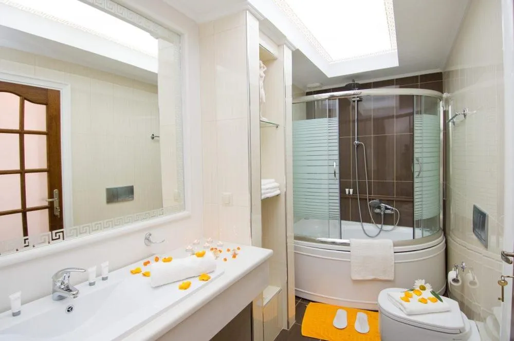 Bathroom in Plaza Pallas