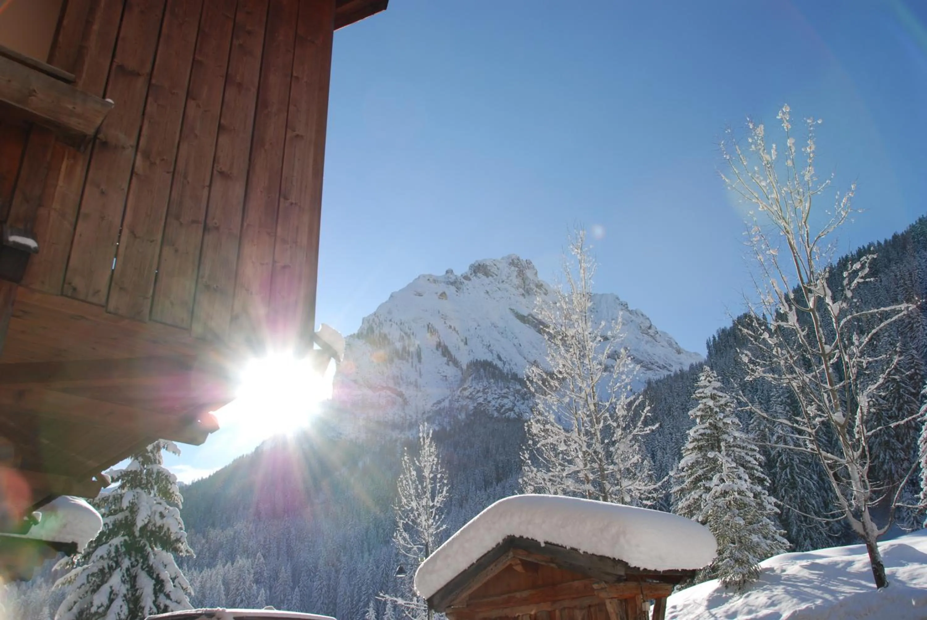 Area and facilities in Hotel Cirelle Suite & Spa