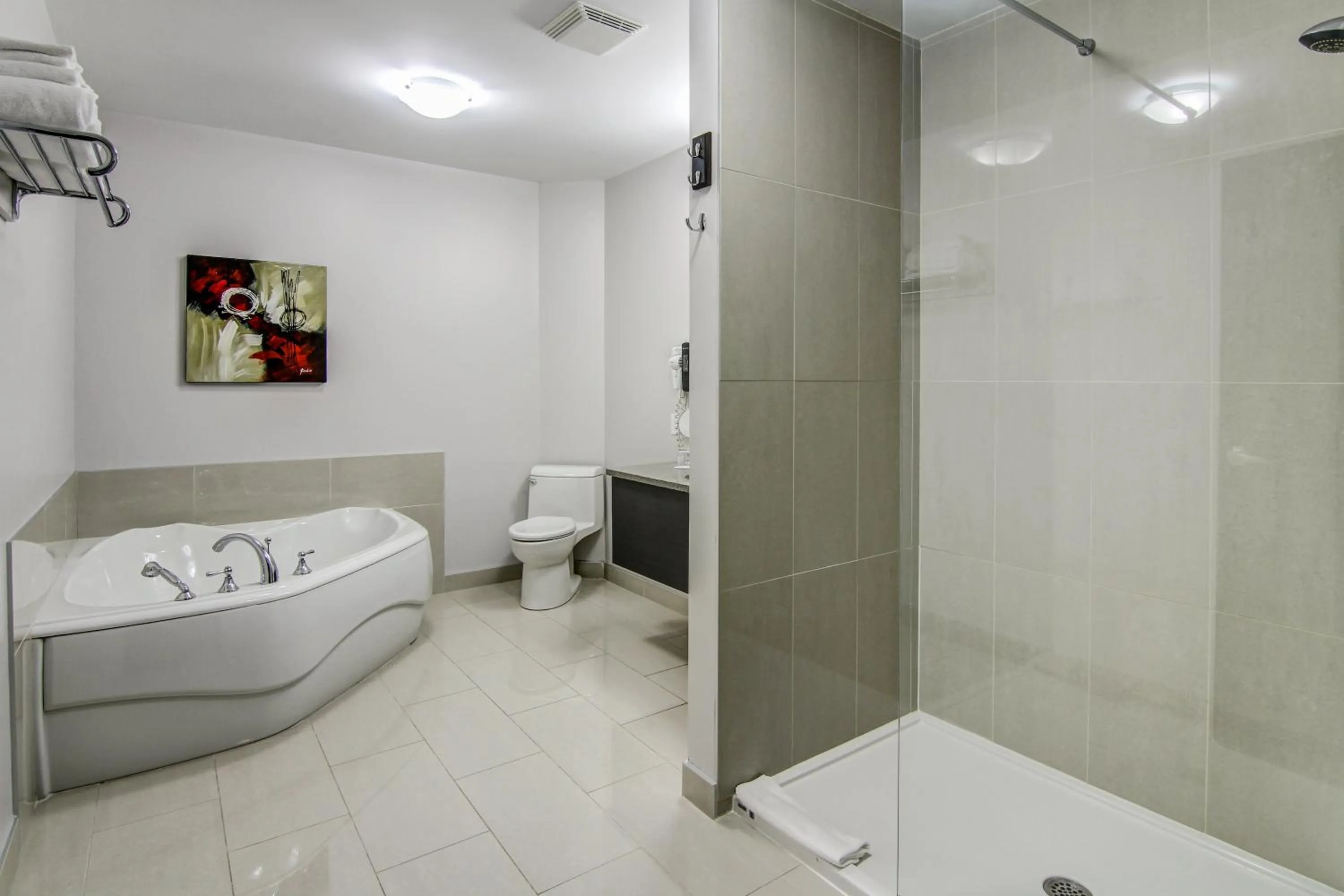 Toilet in Hotel De La Borealie