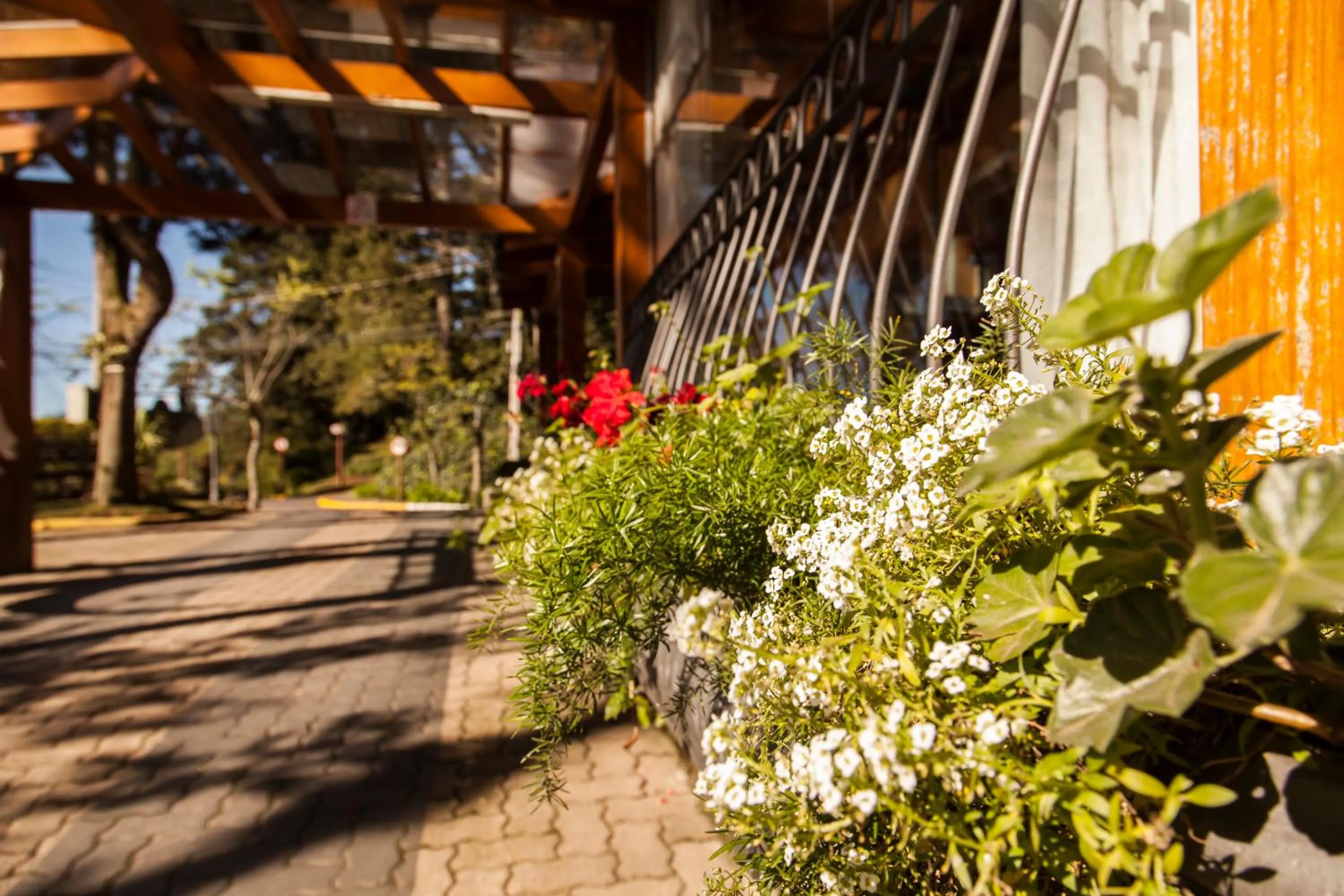 Patio in Pousada Águia Branca