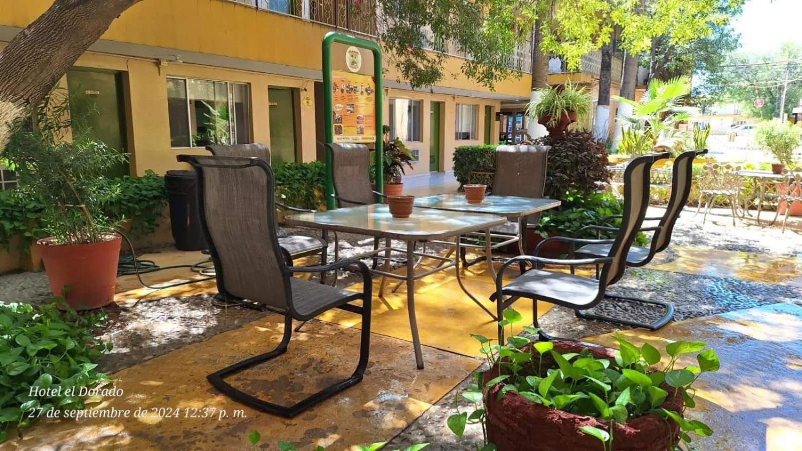 Garden in Hotel El Dorado