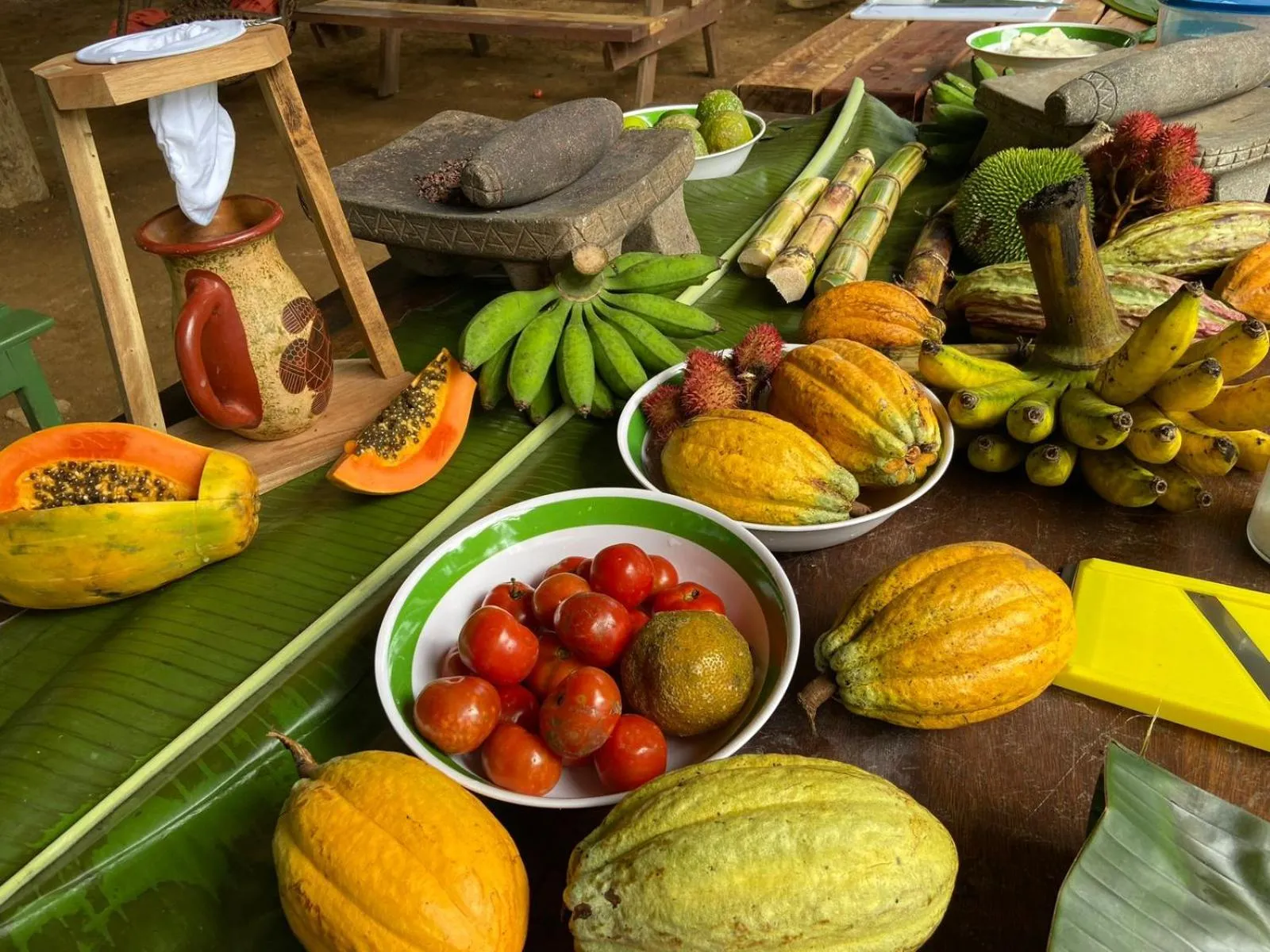 Activities in Chachagua Rainforest Hotel & Hot Springs