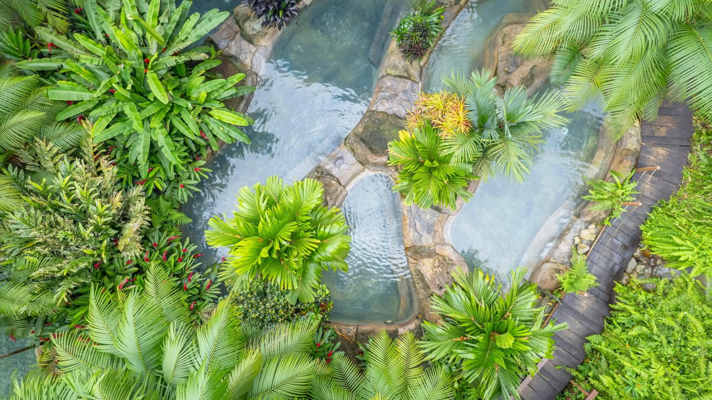 Bird's eye view in Chachagua Rainforest Hotel & Hot Springs