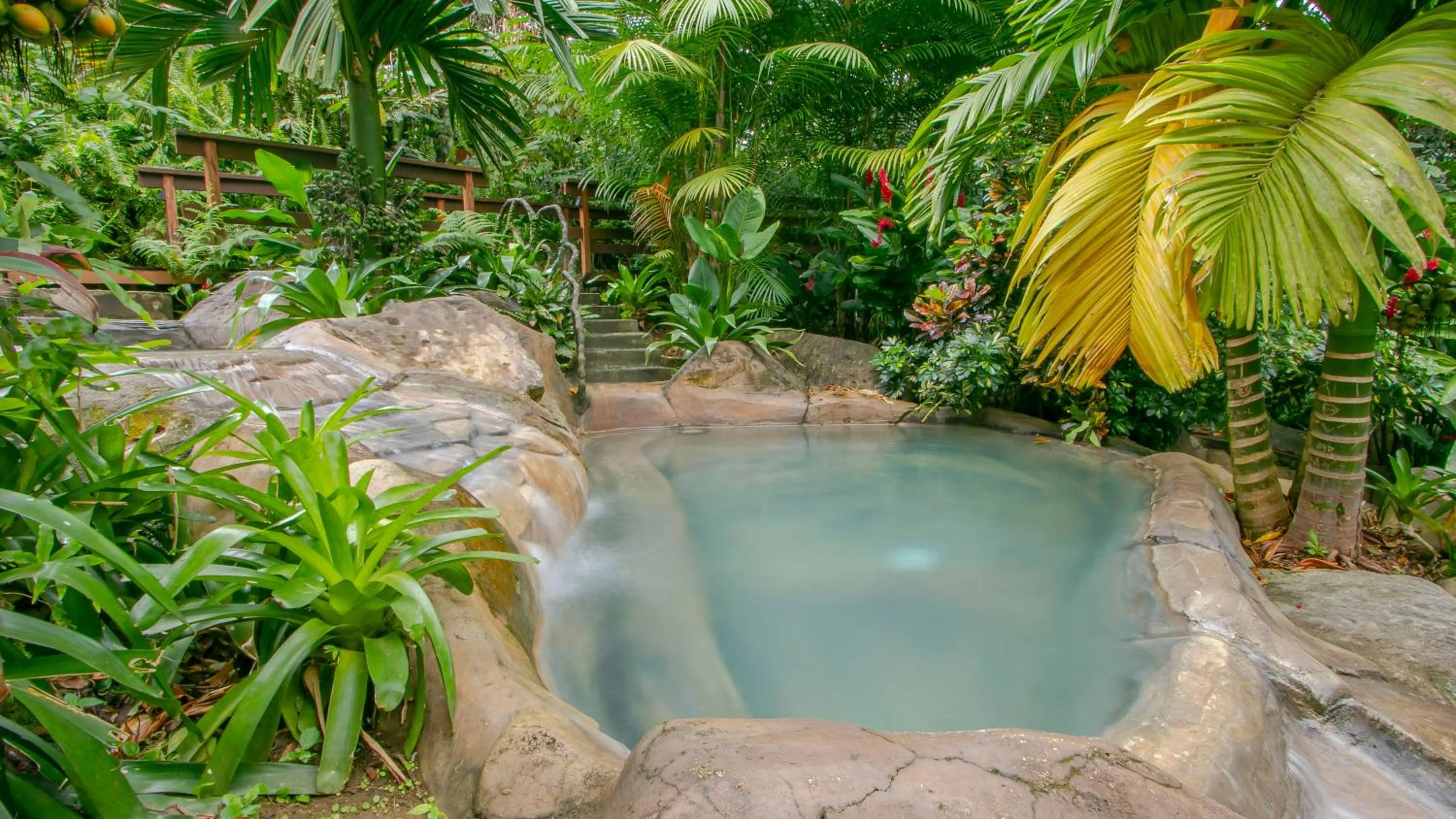 Garden in Chachagua Rainforest Hotel & Hot Springs