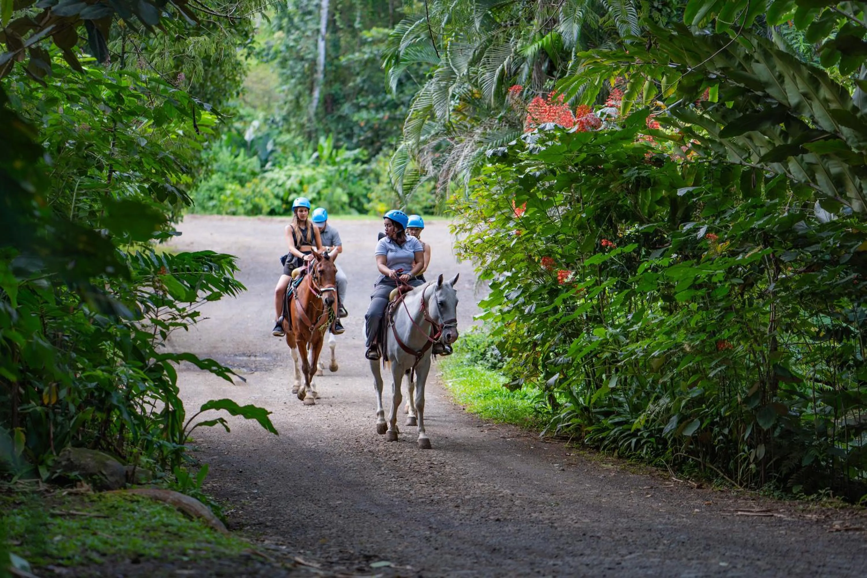 Natural landscape in Chachagua Rainforest Hotel & Hot Springs