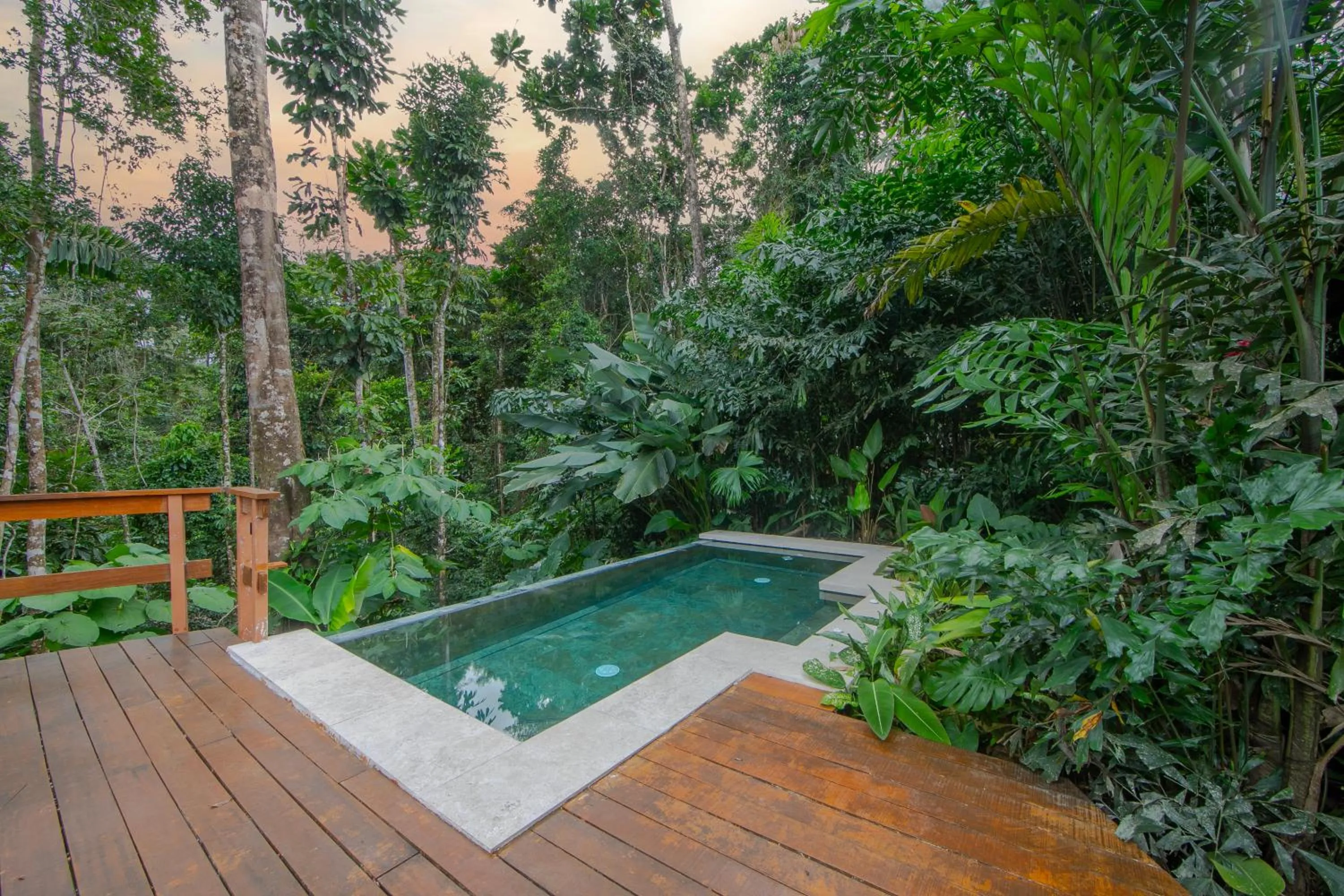 Pool view in Chachagua Rainforest Hotel & Hot Springs