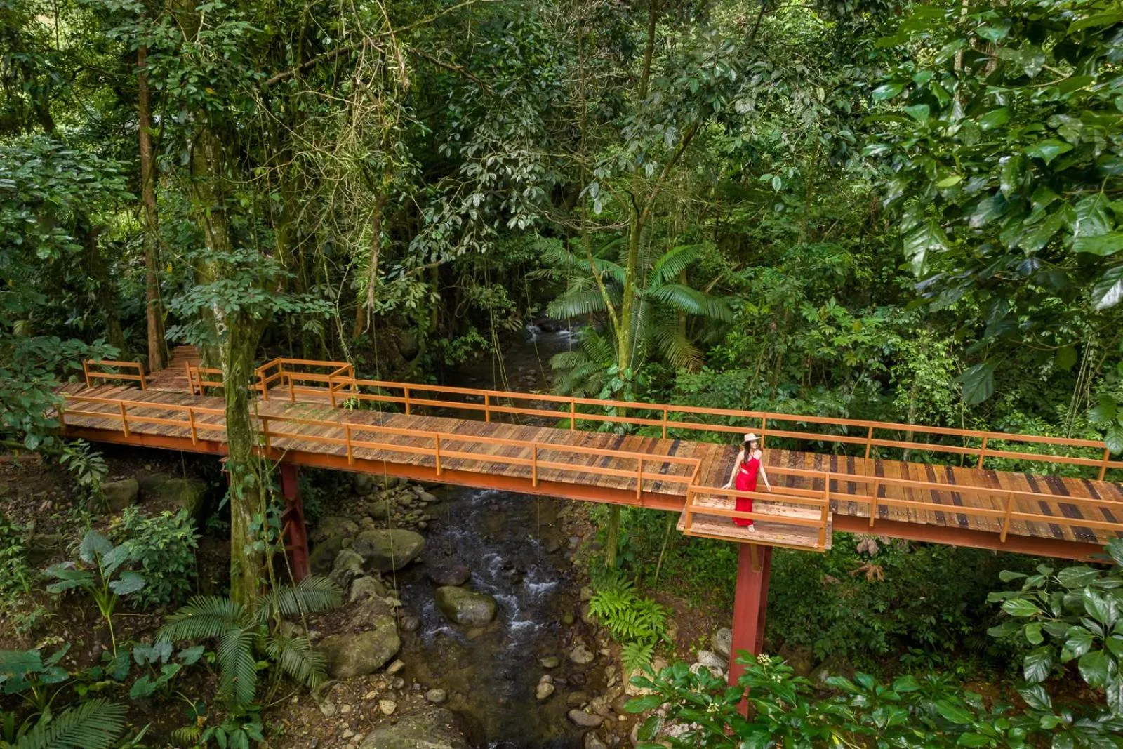 Garden view in Chachagua Rainforest Hotel & Hot Springs