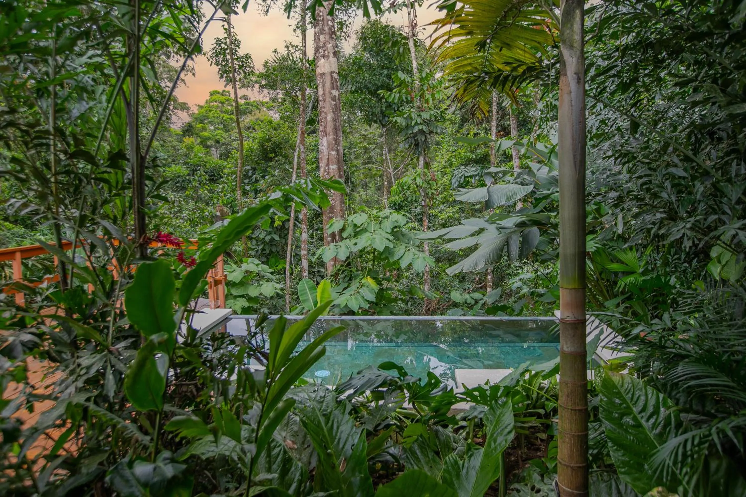 Natural landscape in Chachagua Rainforest Hotel & Hot Springs