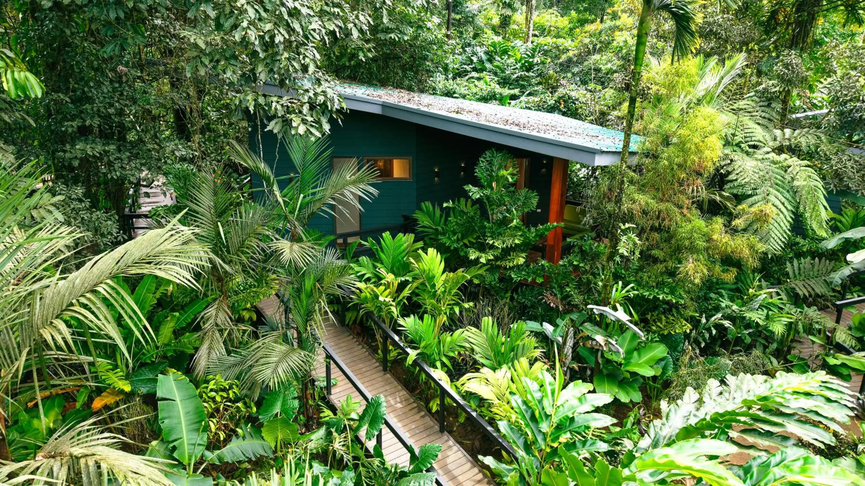 Natural landscape in Chachagua Rainforest Hotel & Hot Springs