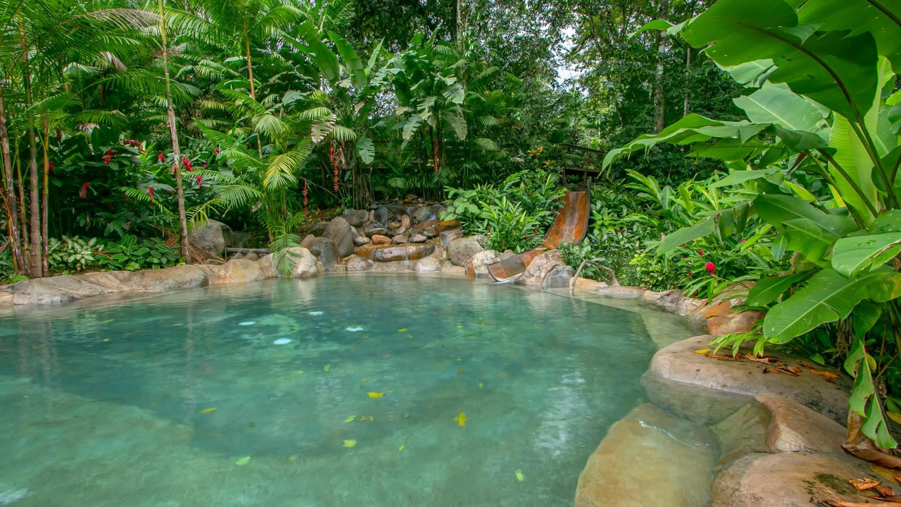 Swimming pool in Chachagua Rainforest Hotel & Hot Springs