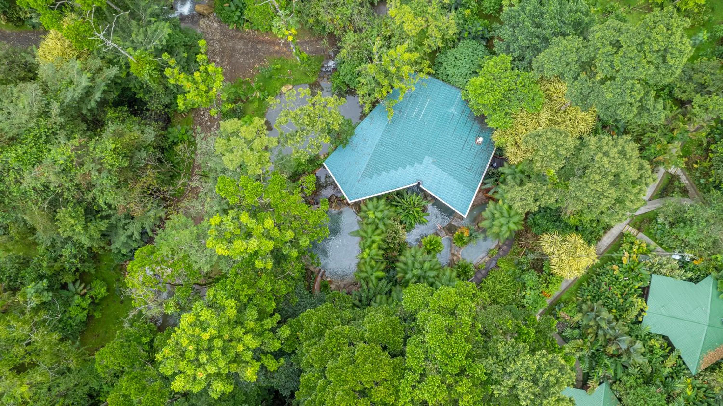 Bird's eye view in Chachagua Rainforest Hotel & Hot Springs