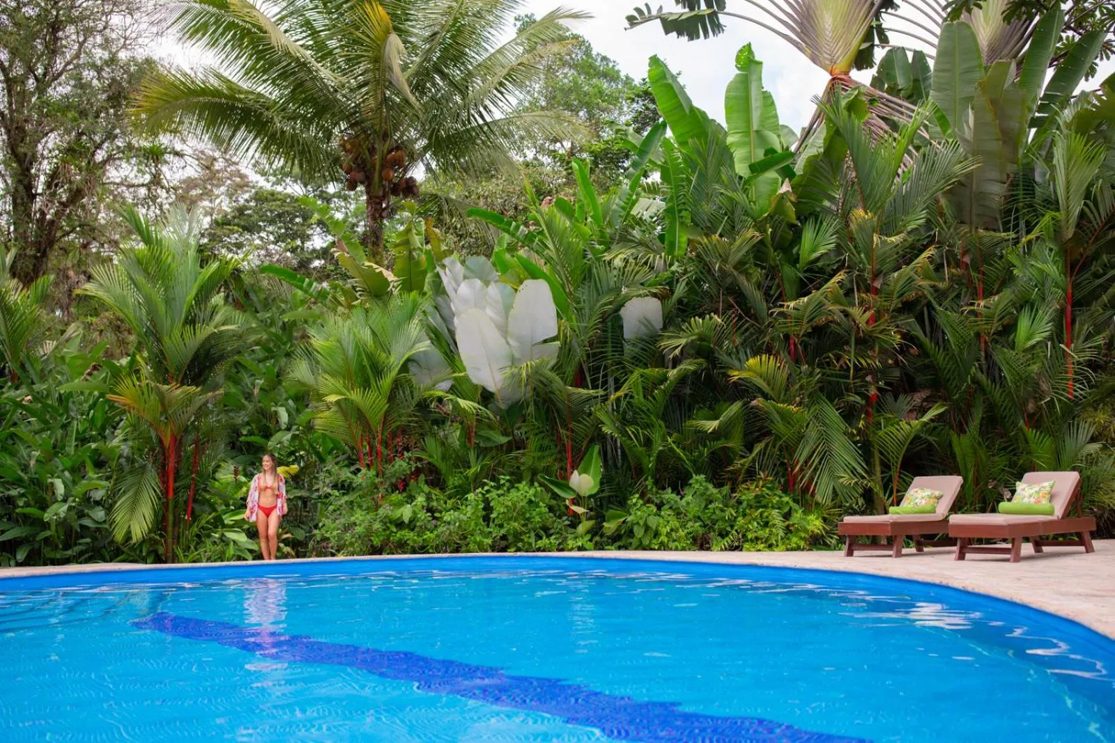 Swimming pool in Chachagua Rainforest Hotel & Hot Springs