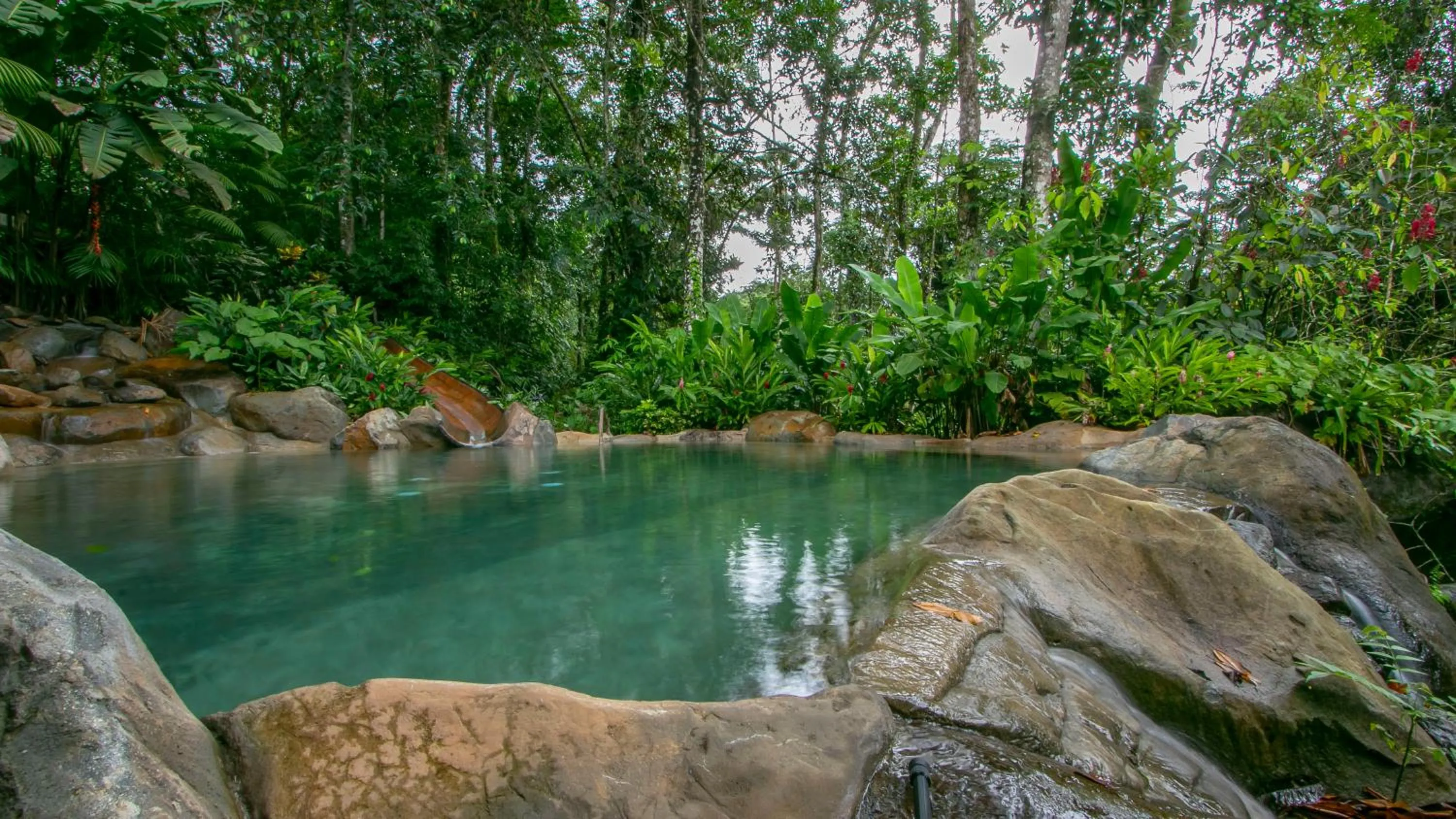 Swimming pool in Chachagua Rainforest Hotel & Hot Springs