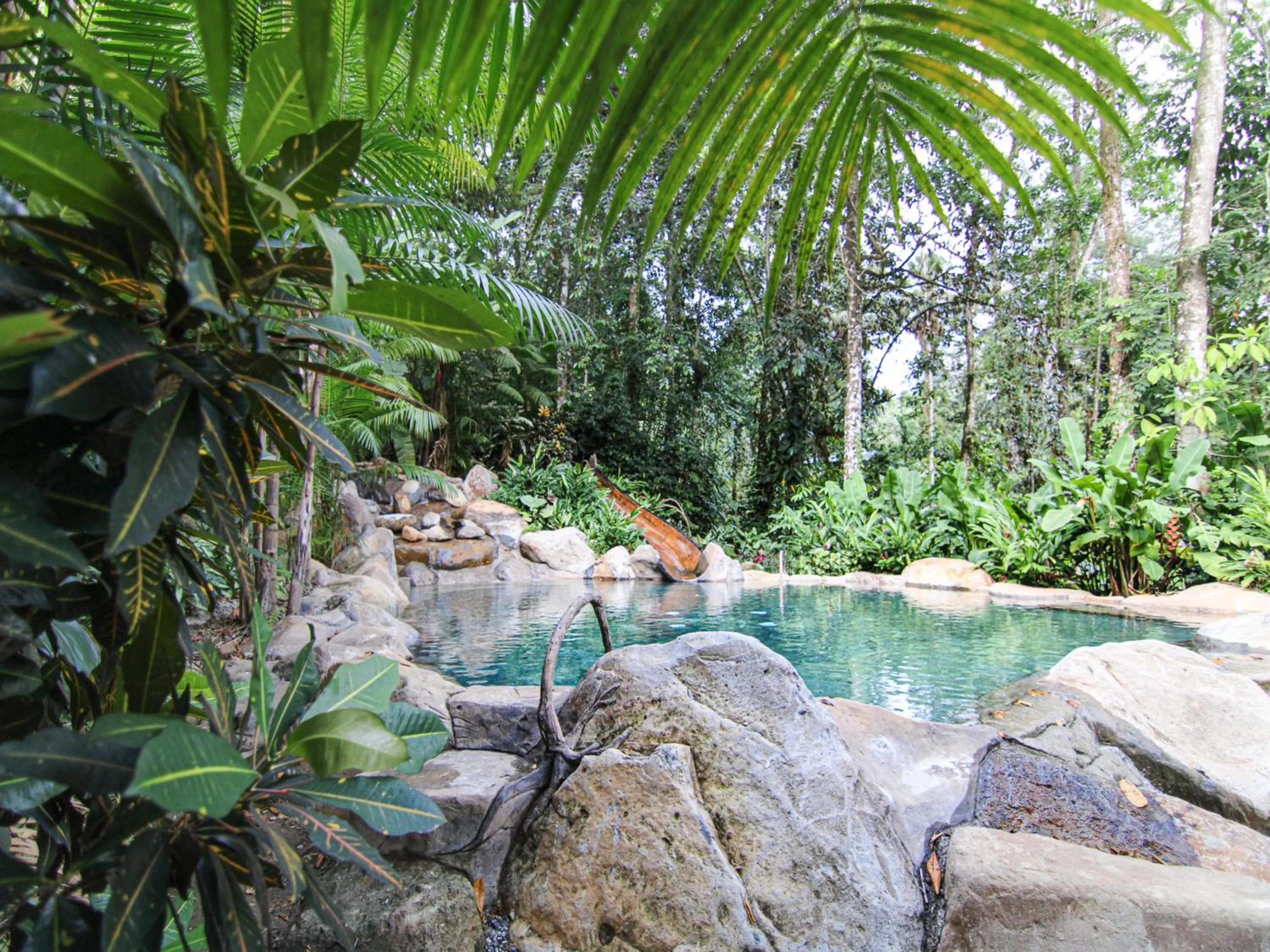 Day in Chachagua Rainforest Hotel & Hot Springs