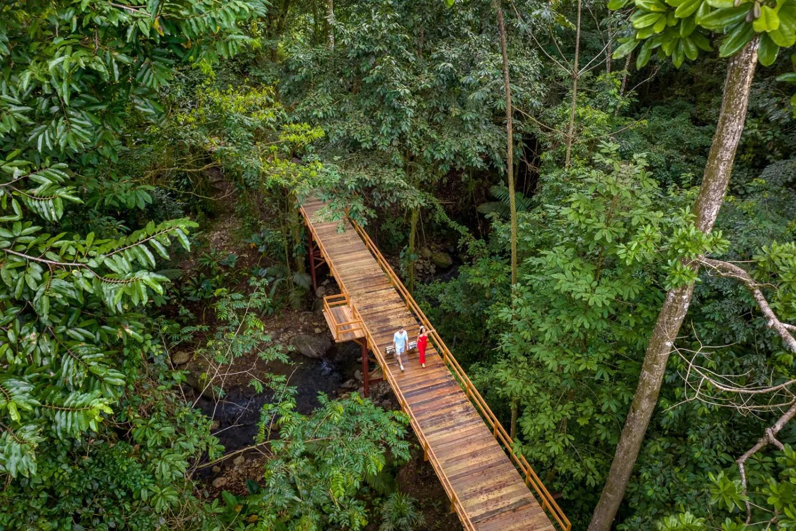 Garden view in Chachagua Rainforest Hotel & Hot Springs