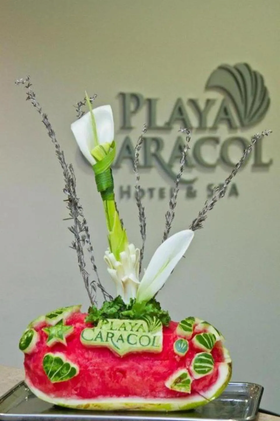 Property logo or sign in Playa Caracol Hotel & Spa