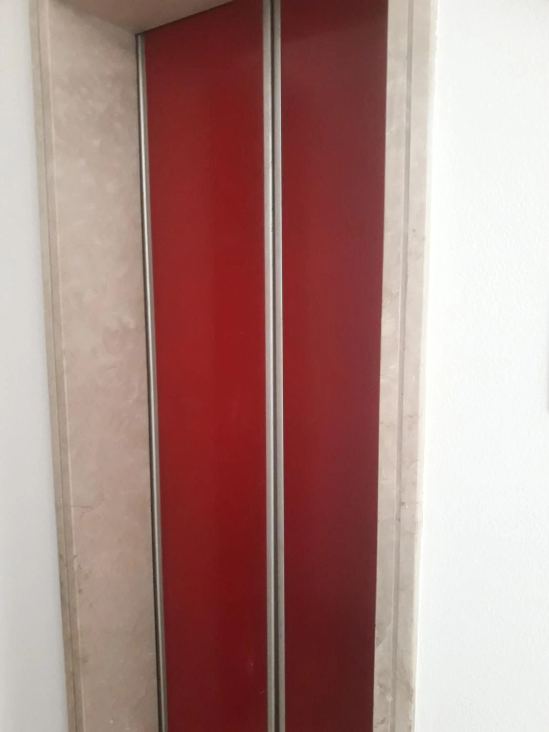 Animals in Ca' Marghera Venice