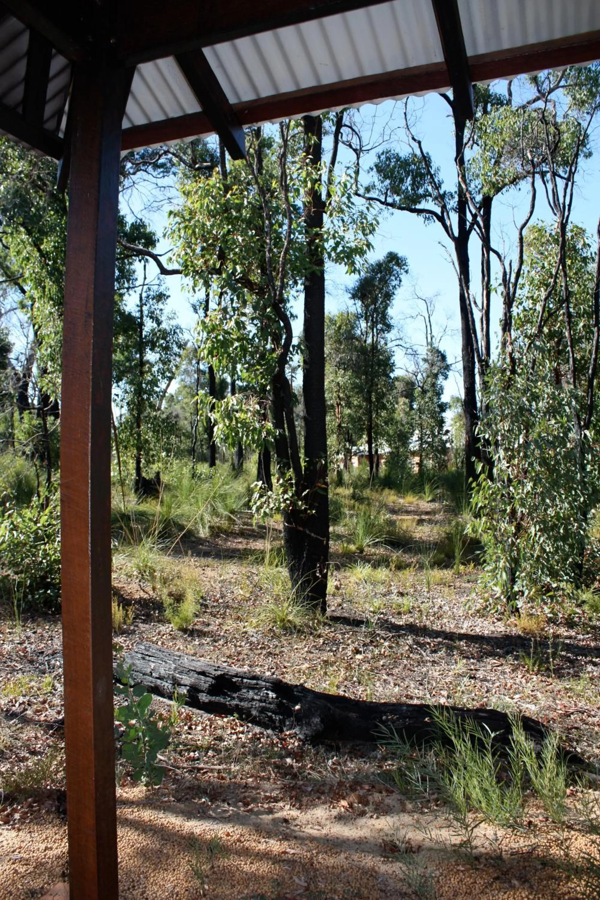 View (from property/room) in Chalets on Stoneville
