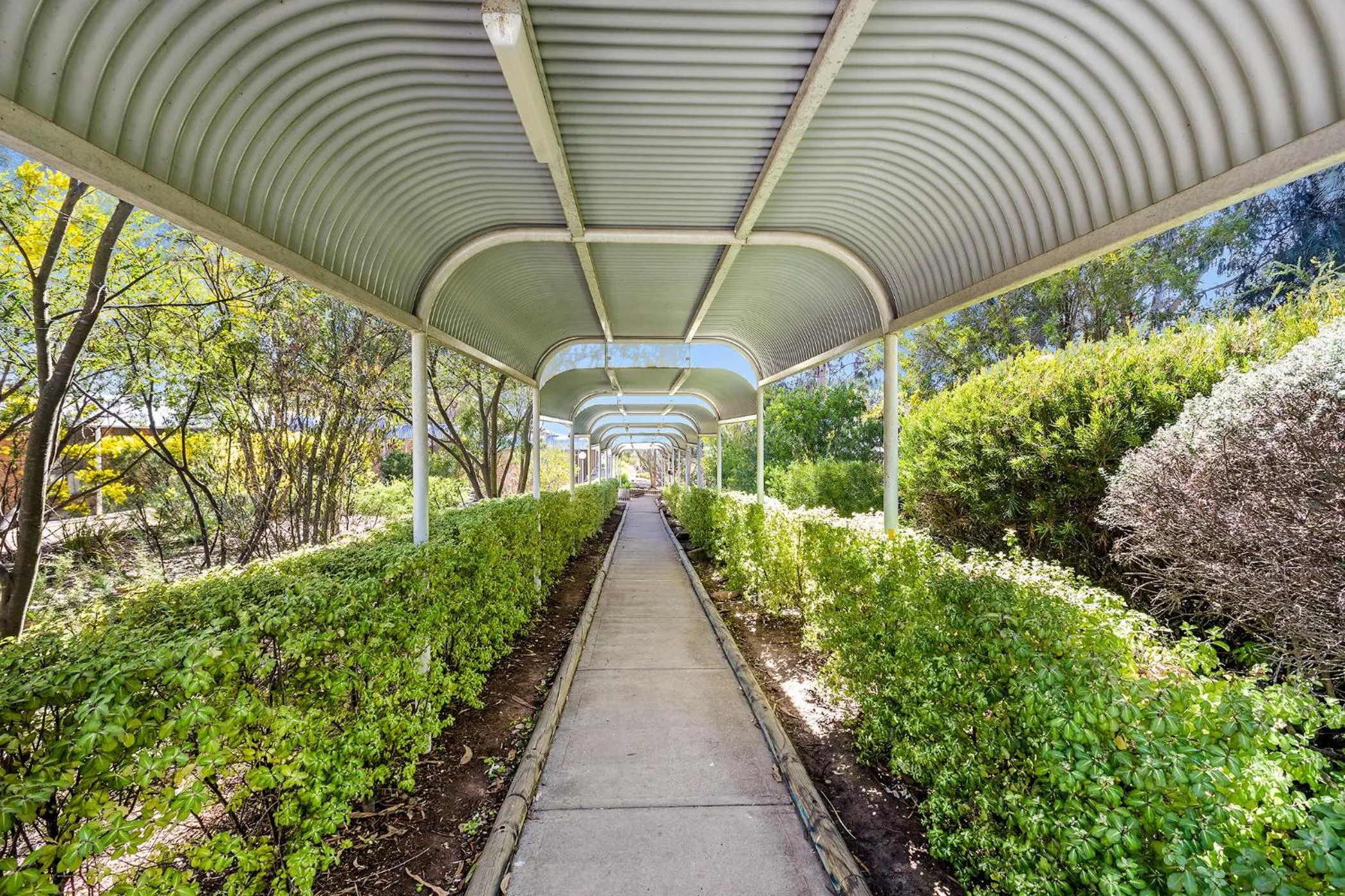 Garden in ibis Styles Canberra Eagle Hawk