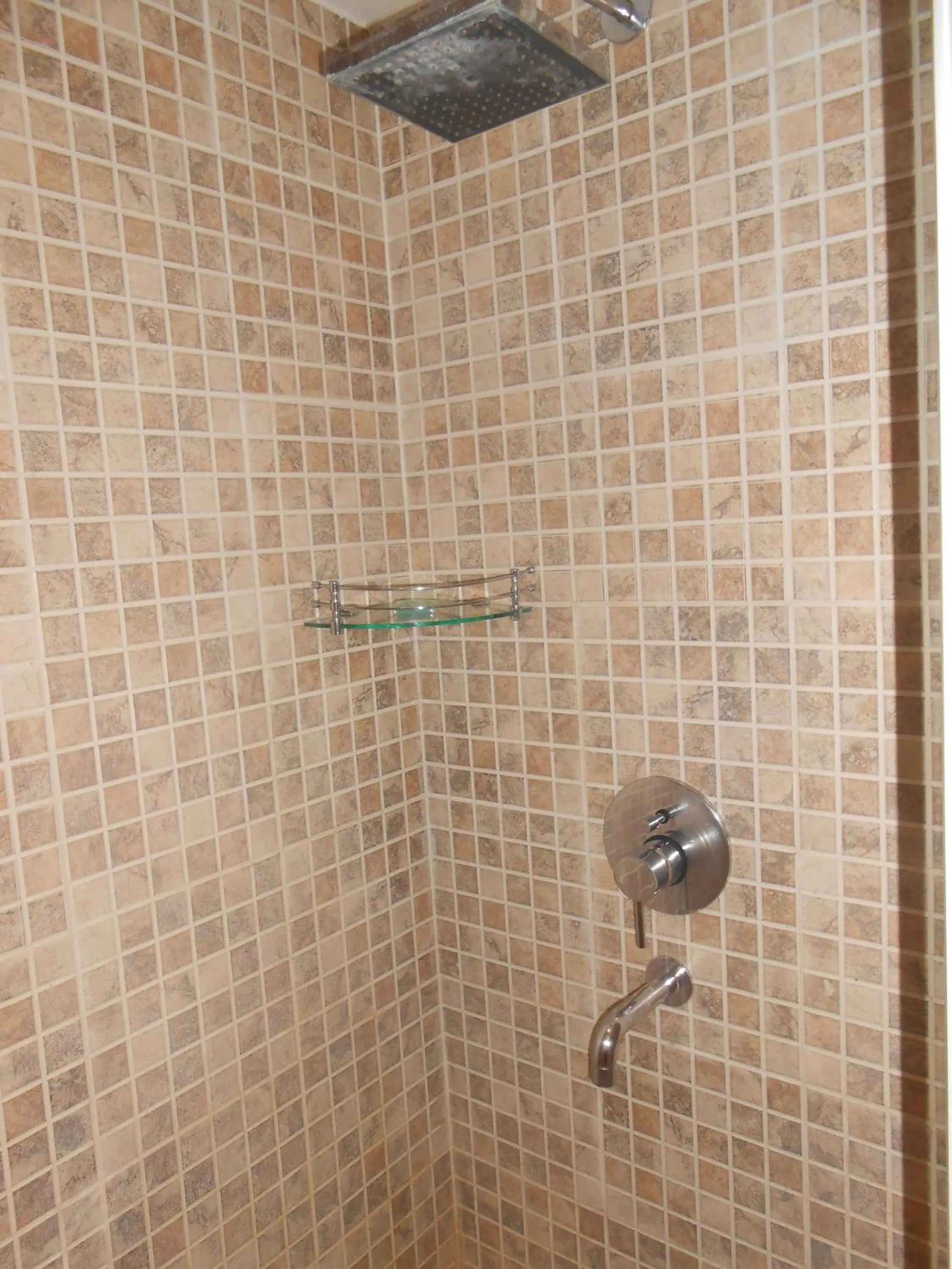 Shower in Siamton Inn- A Cygnett Collection
